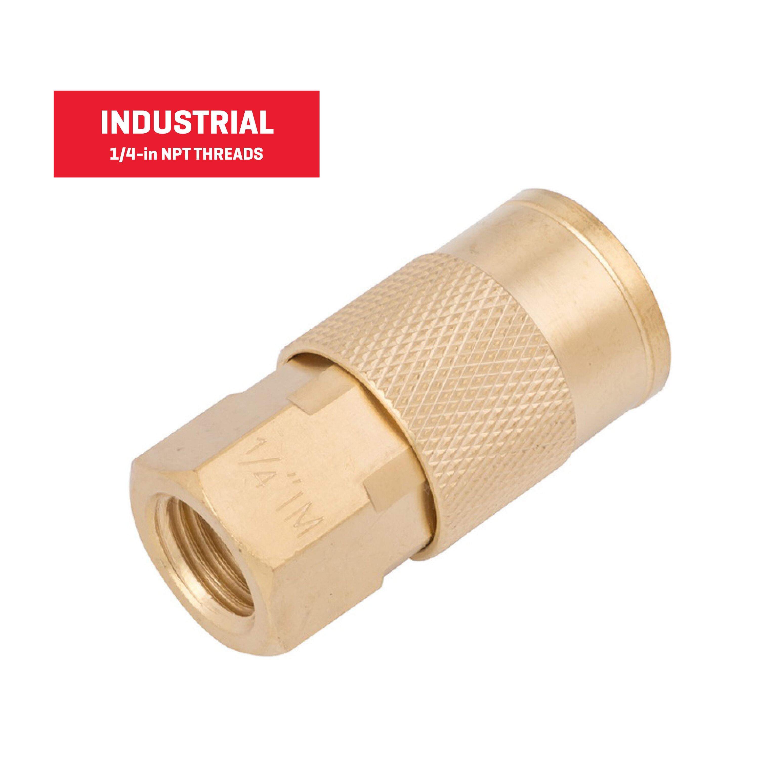 Acoplador de latón Kobalt (Hembra) 1/4 pulgadas Industrial SGY-AIR23NB