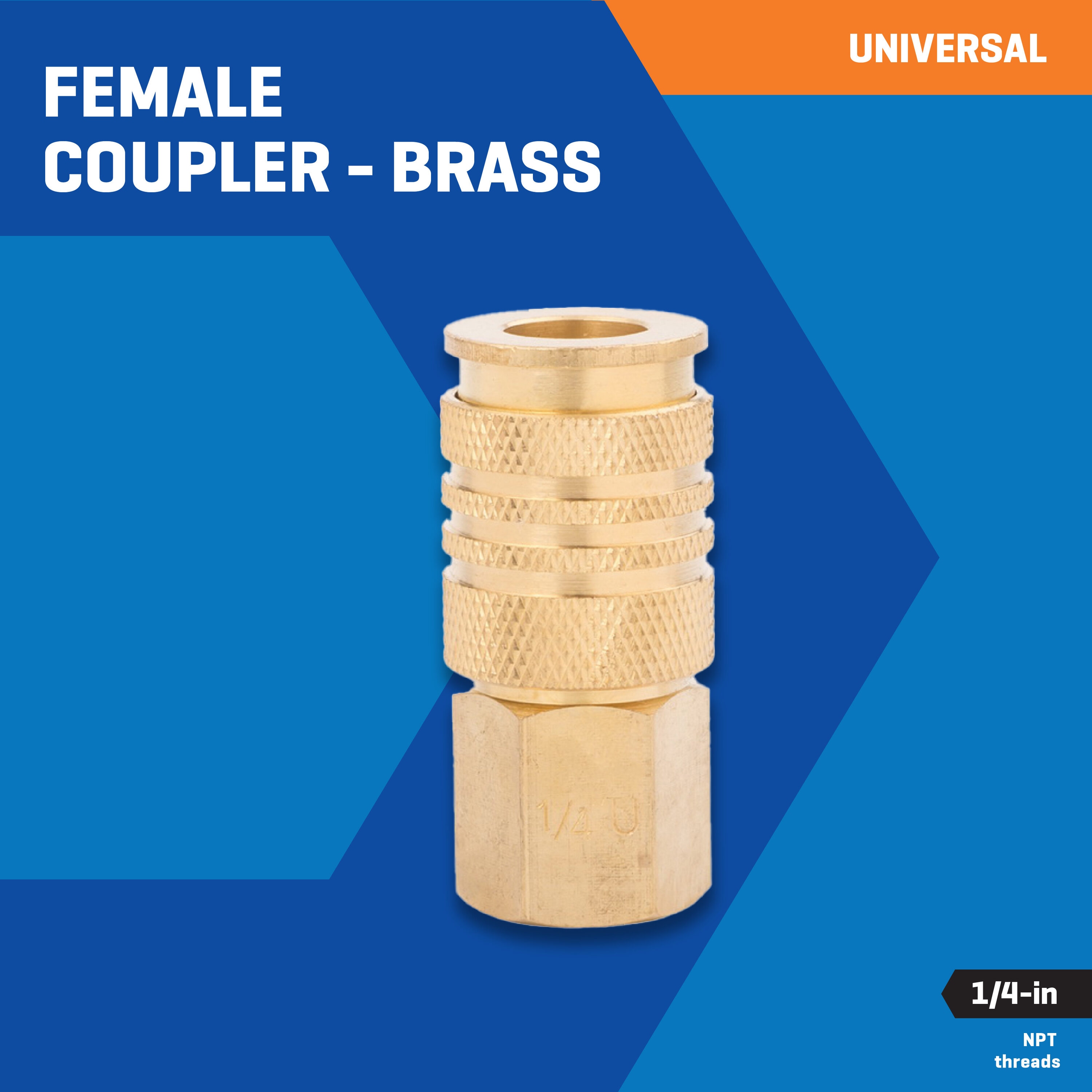 Acoplador de latón Kobalt (H) universal de 1/4 pulgada SGY-AIR26NB
