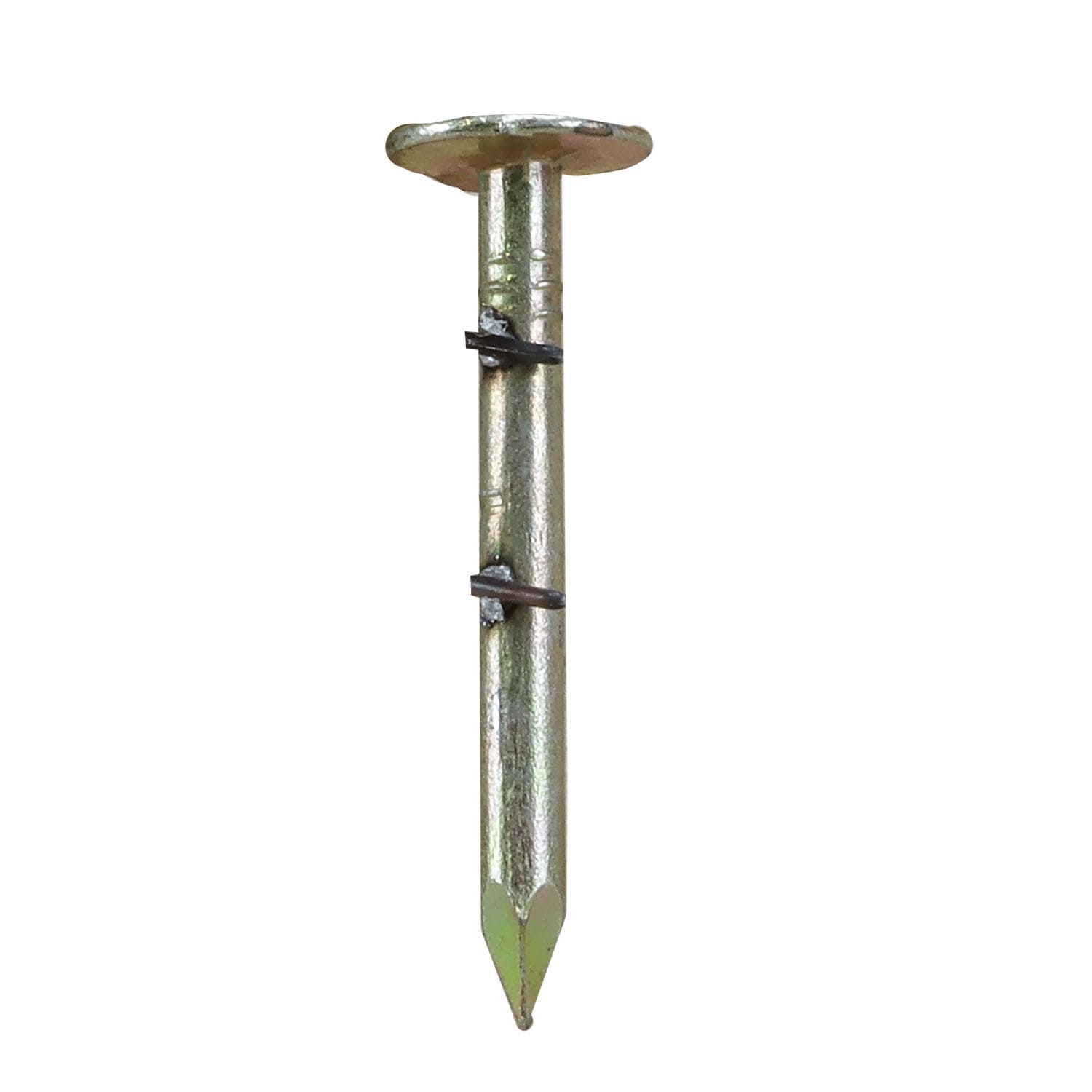 Clavos para techado en bobina galvanizada de 1-1/4 pulgadas con ángulo de 15 grados y vástago liso, 7200 unidades por caja - Modelo RN-125EG