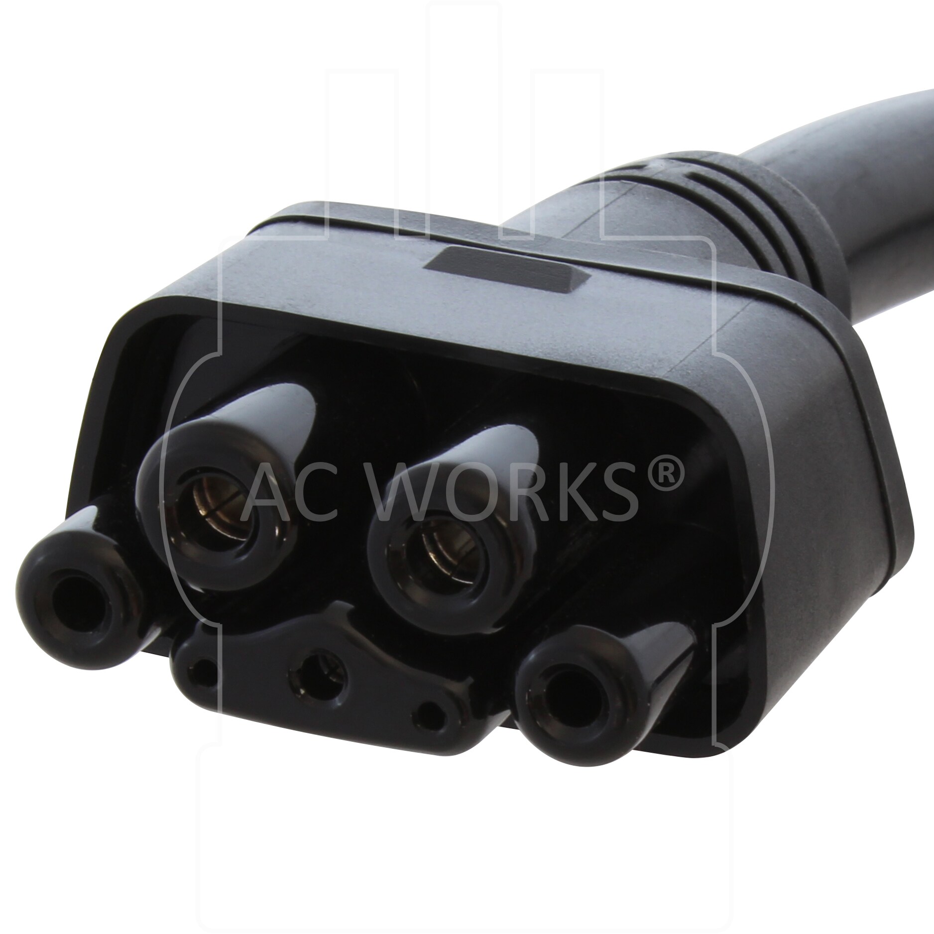 Adaptador Cargador de Vehículo Eléctrico EV para EV con Conector NEMA TT-30 de 24 Amperios AC WORKS
