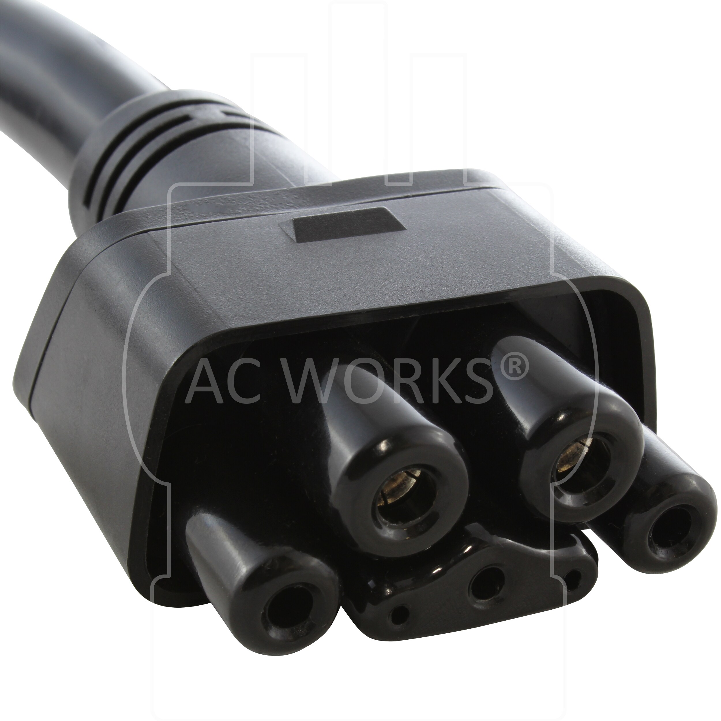 Adaptador AC WORKS 24A para cargador de vehículo eléctrico Gen. II Tesla Mobile Connector con conector NEMA 10-30 (G2EV1030PT-24A)