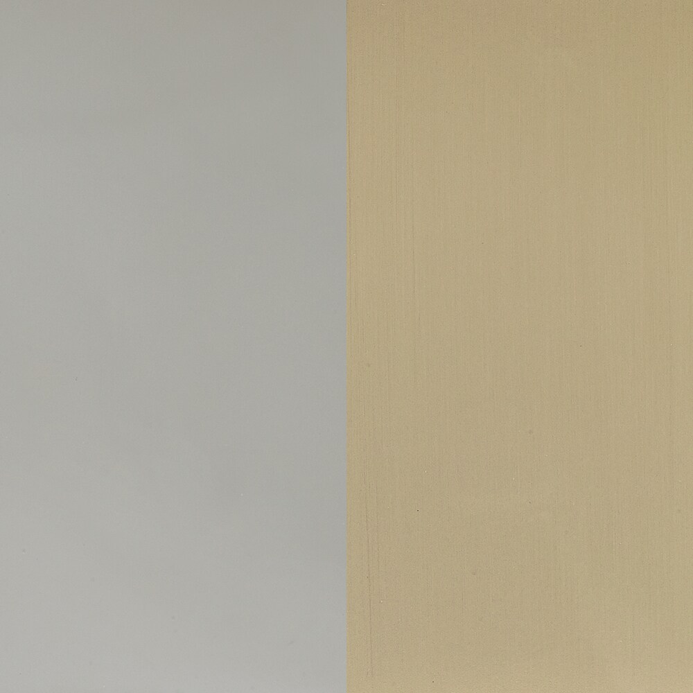 Gancho de Toalla de Montaje en Pared Sencillo Amerock Esquire Níquel Pulido/Champán Dorado BH36563PNBBZ