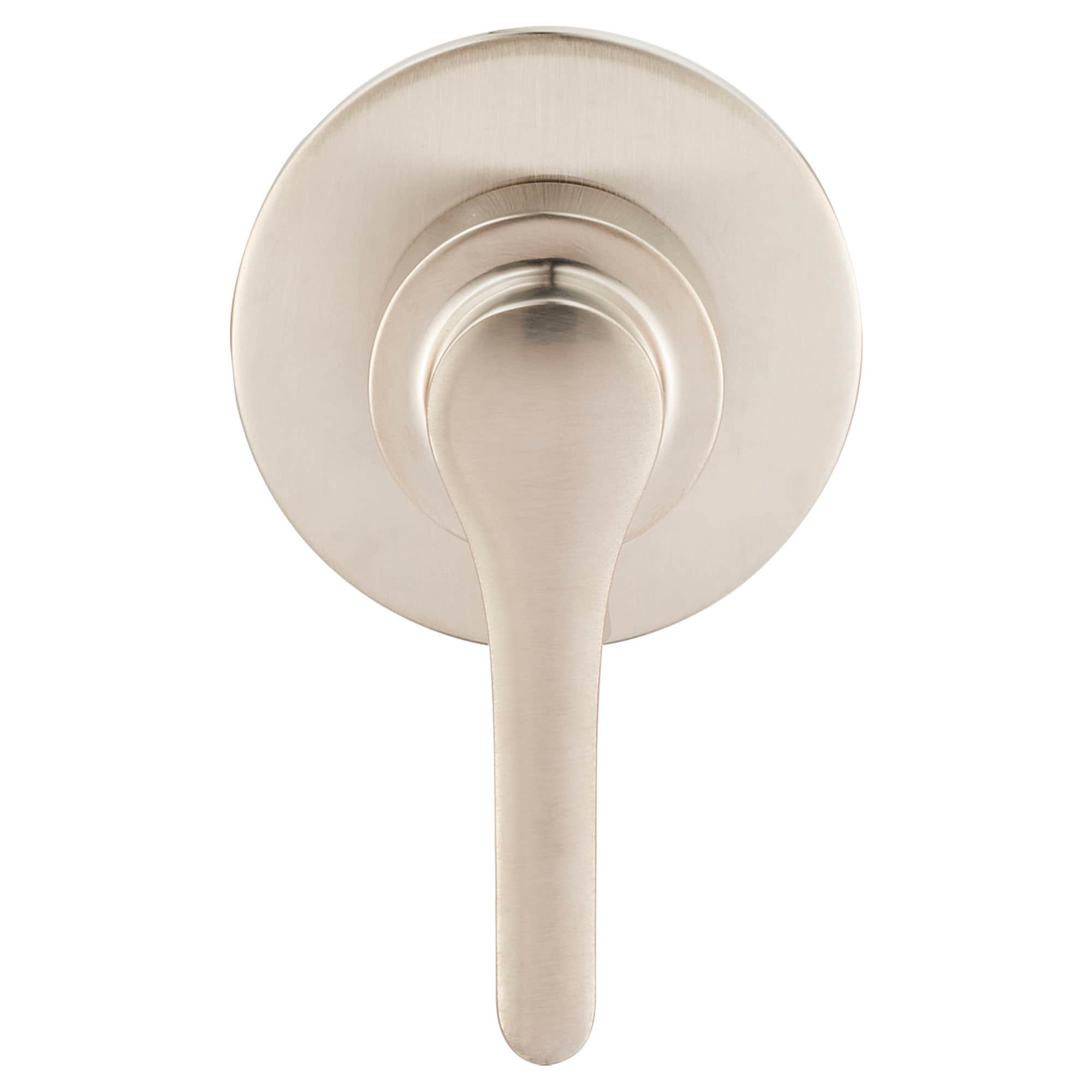 Mango de Regadera de Palanca de Níquel Cepillado American Standard T105430.295
