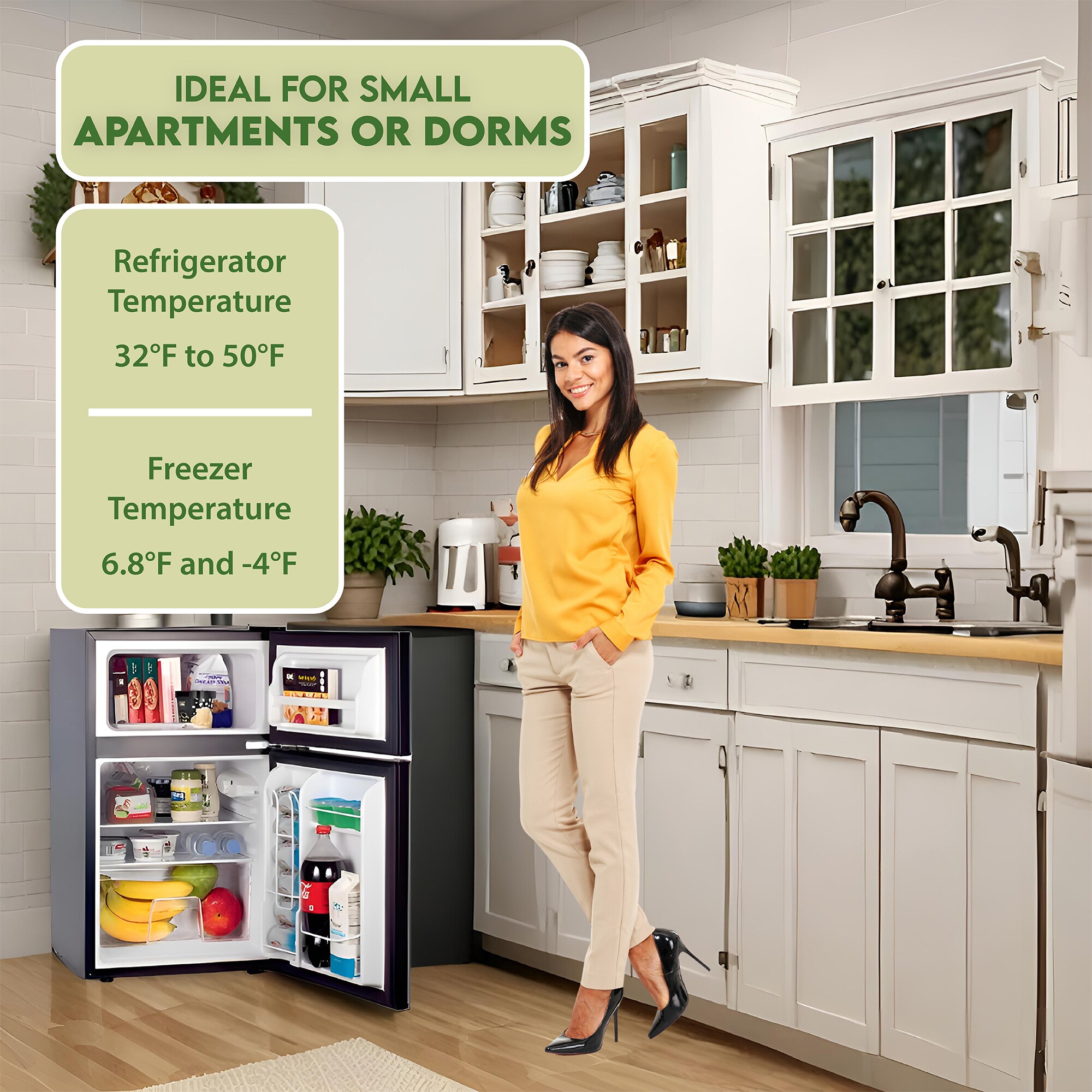 Refrigerador Mini con Congelador de 3.2 pies cúbicos (negro) con certificación ENERGY STAR - Modelo CRF 320 B de Equator Advanced Appliances