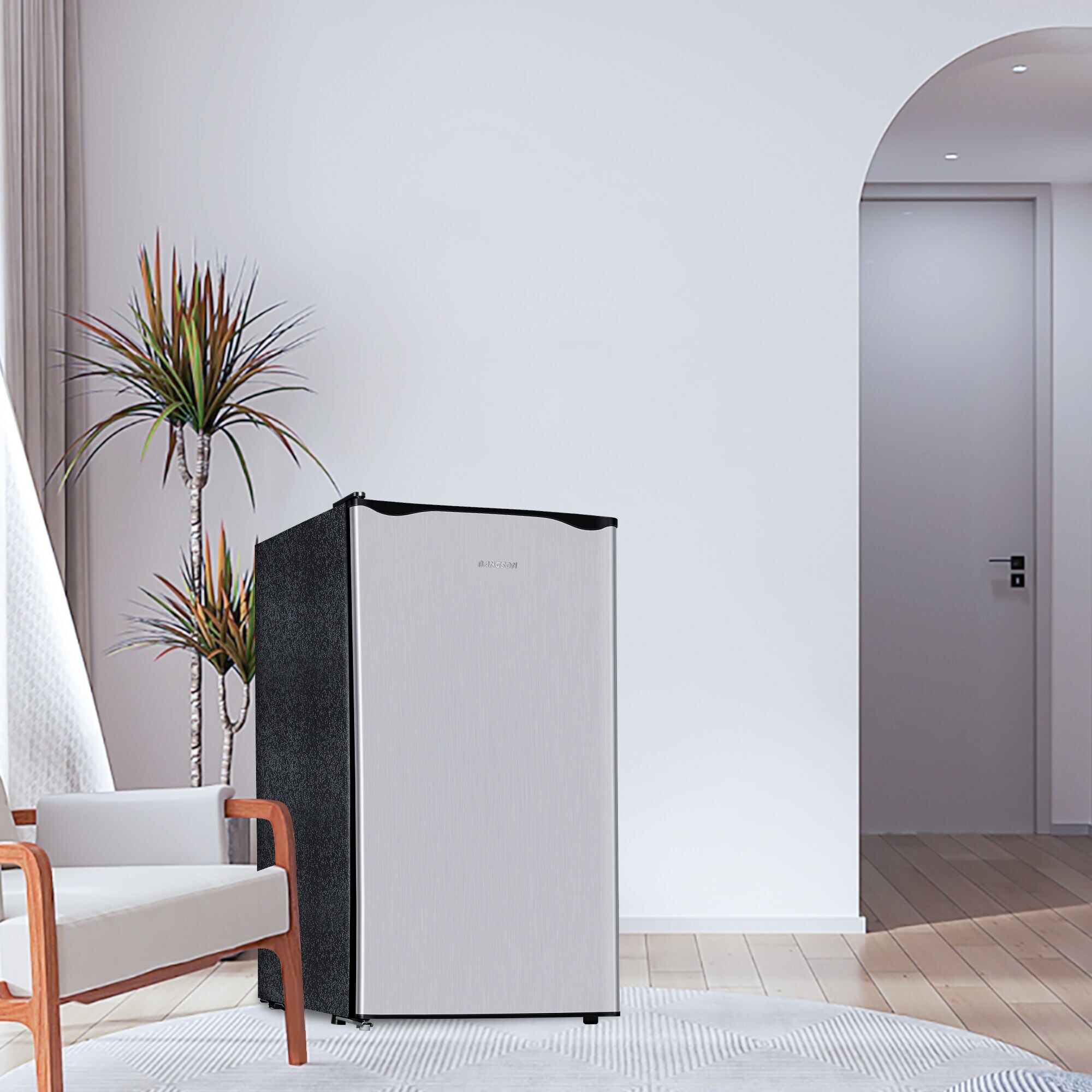 Refrigerador pequeño de 3.2 pies cúbicos con congelador (Plata) ENERGY STAR de Jeremy Cass