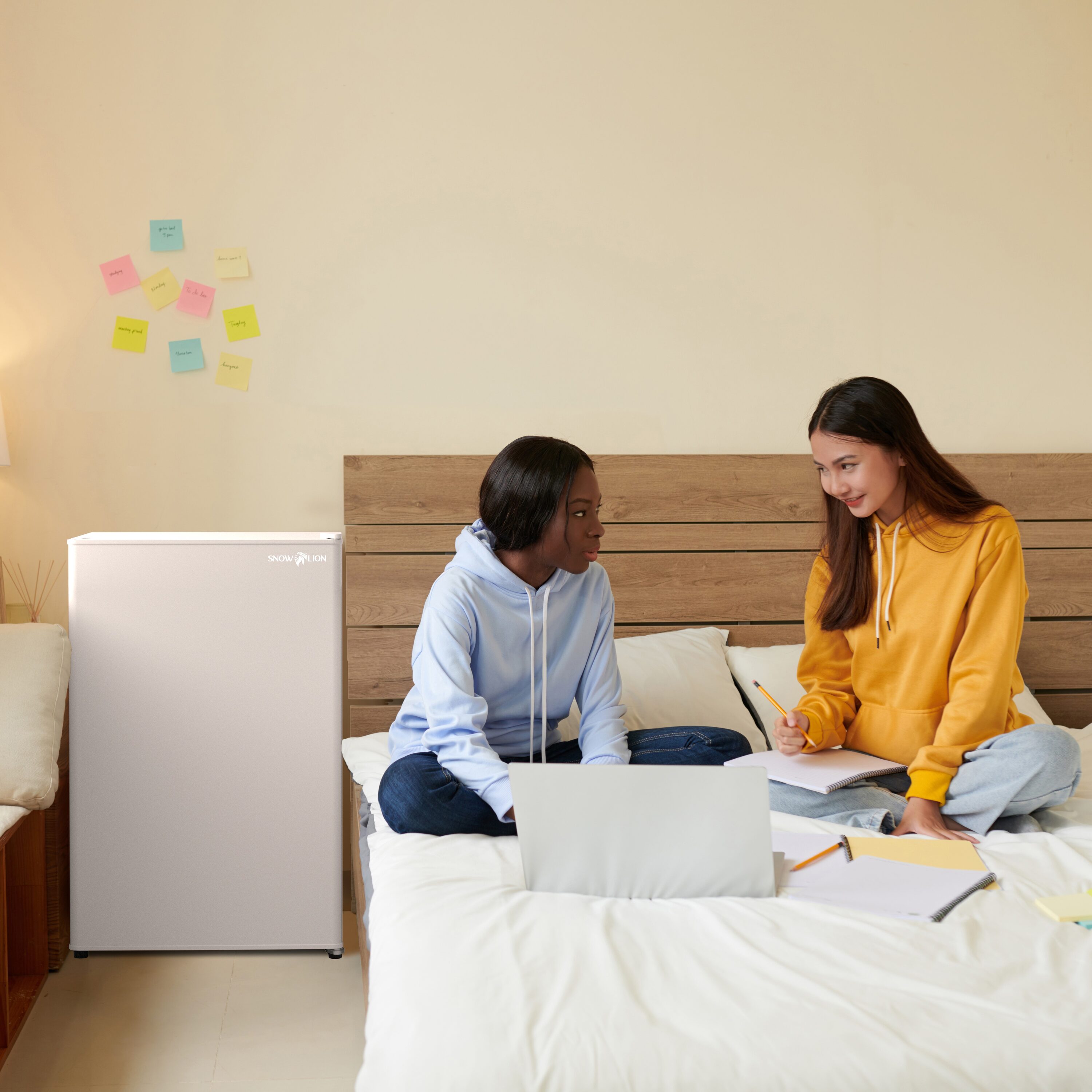 Refrigerador Mini de 4.3 pies cúbicos con puerta sólida de 122L SnowLion Premium (blanco) listo para el garaje