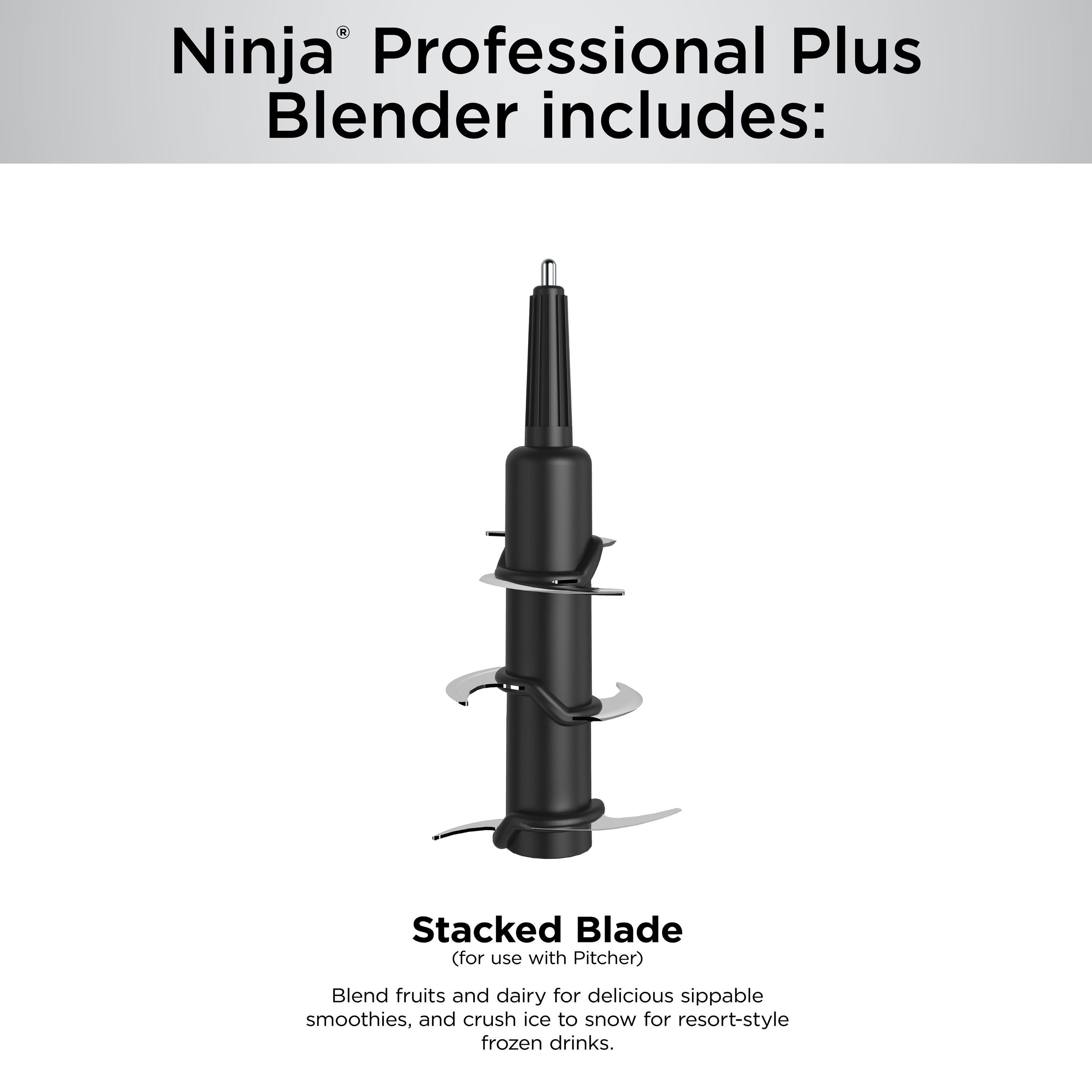 Licuadora Ninja Profesional Plus con Auto-iQ de 64 onzas y 3 velocidades en la encimera (Negro) BN701