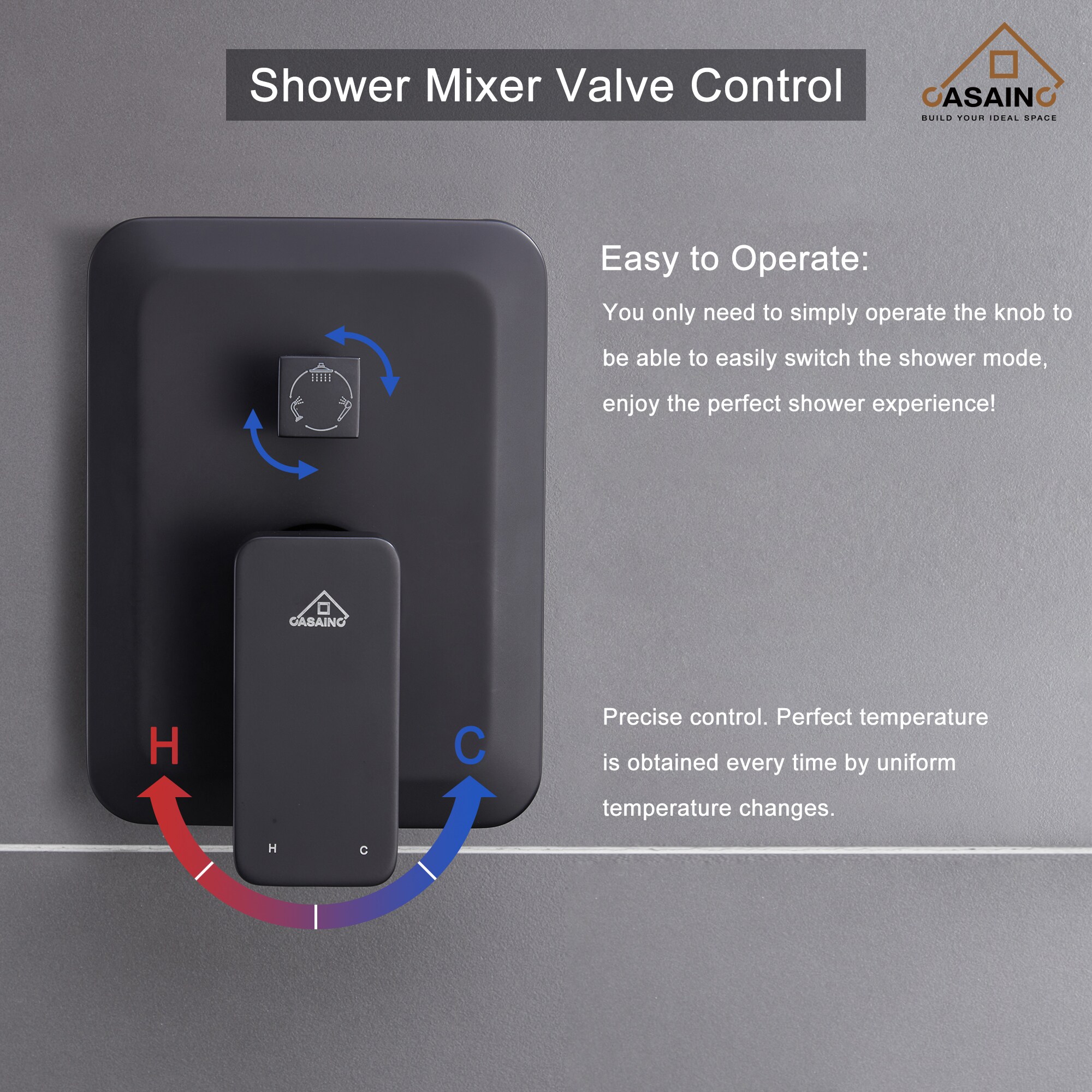 Sistema de ducha CASAINC en negro mate con un mango, función única, regadera cuadrada de 9.8 pulgadas con válvula HM-B206-SQ-MB.