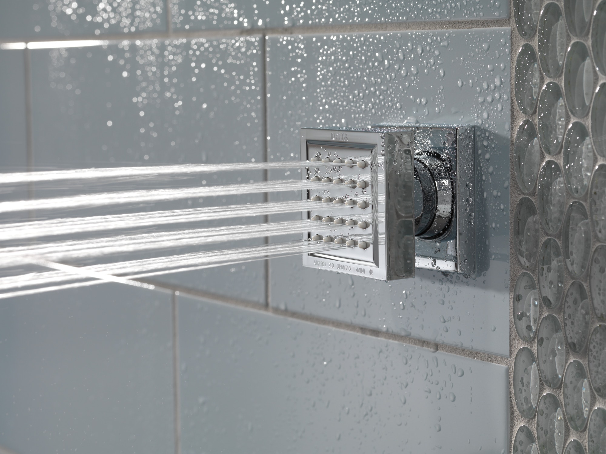 Regadera de acero inoxidable negro con cromado luminoso Delta Lumicoat 50150-KS-PR