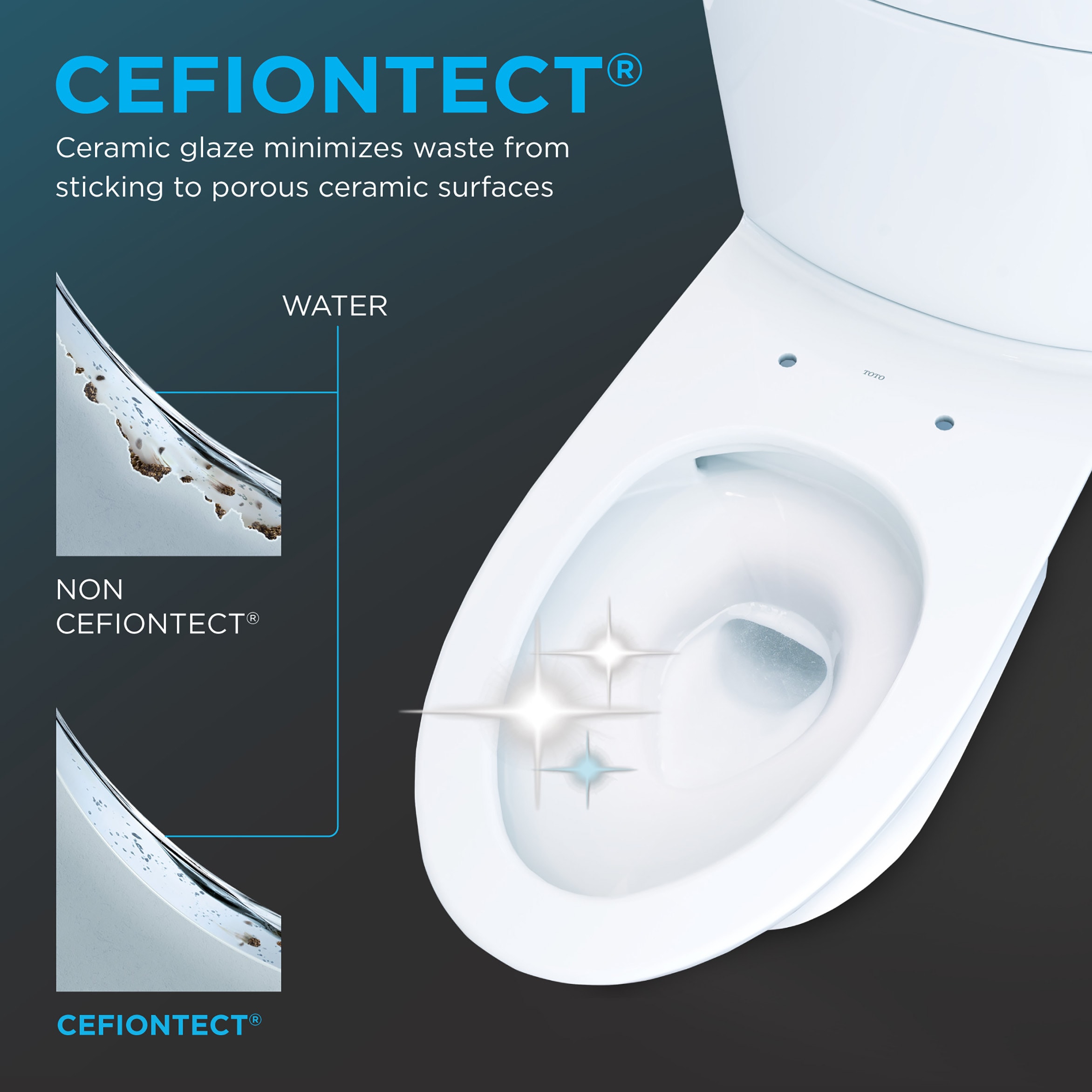 TOTO Drake Algodón Blanco Sencillo Alargado Personalizado con Altura Suave Cierre Lento de 2 Piezas Bidet 12 pulgadas Áspero en 1.28 GPF MW7764736CEG-01