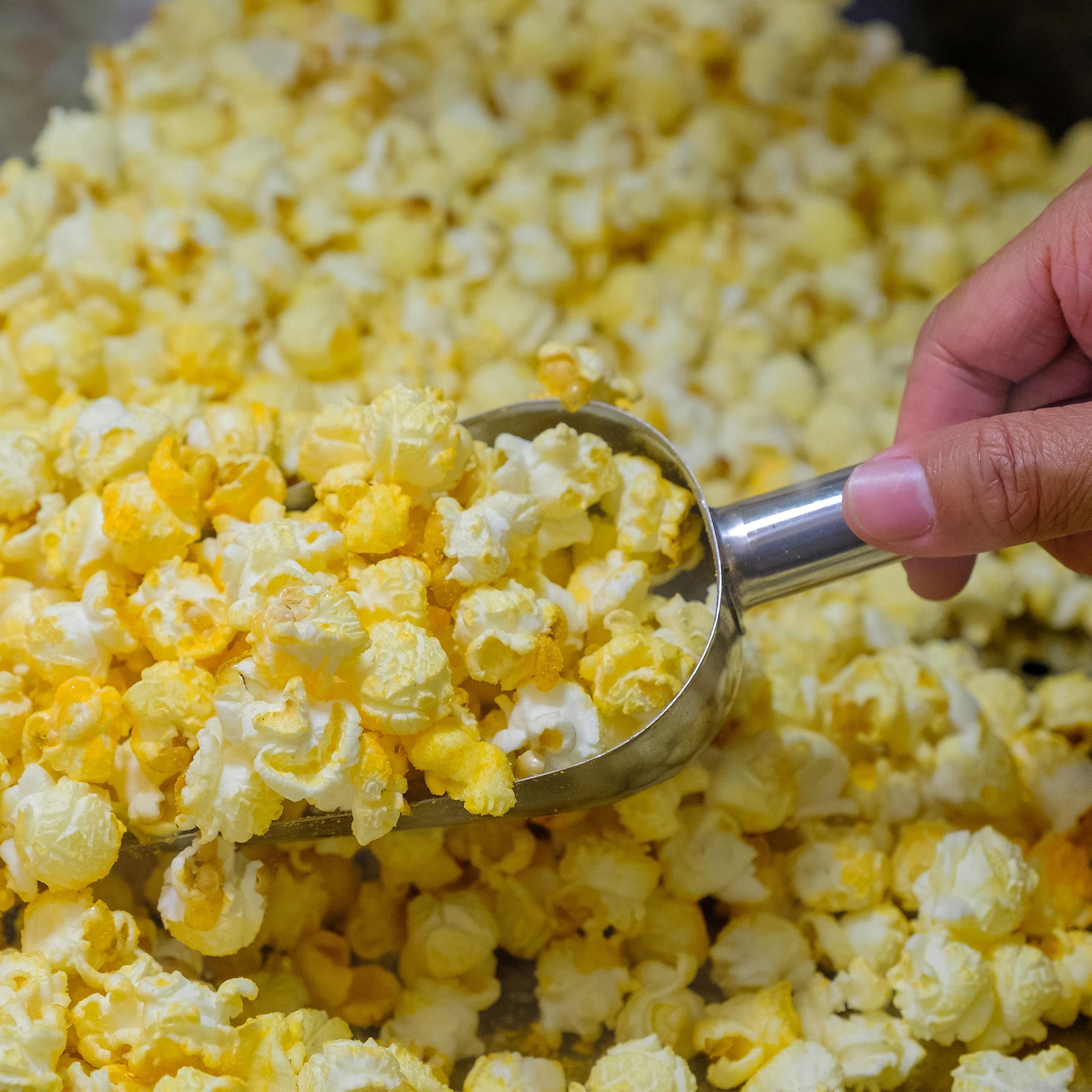 Máquina para hacer palomitas de maíz en la encimera con aceite gris de 0.625 tazas de Great Northern Popcorn