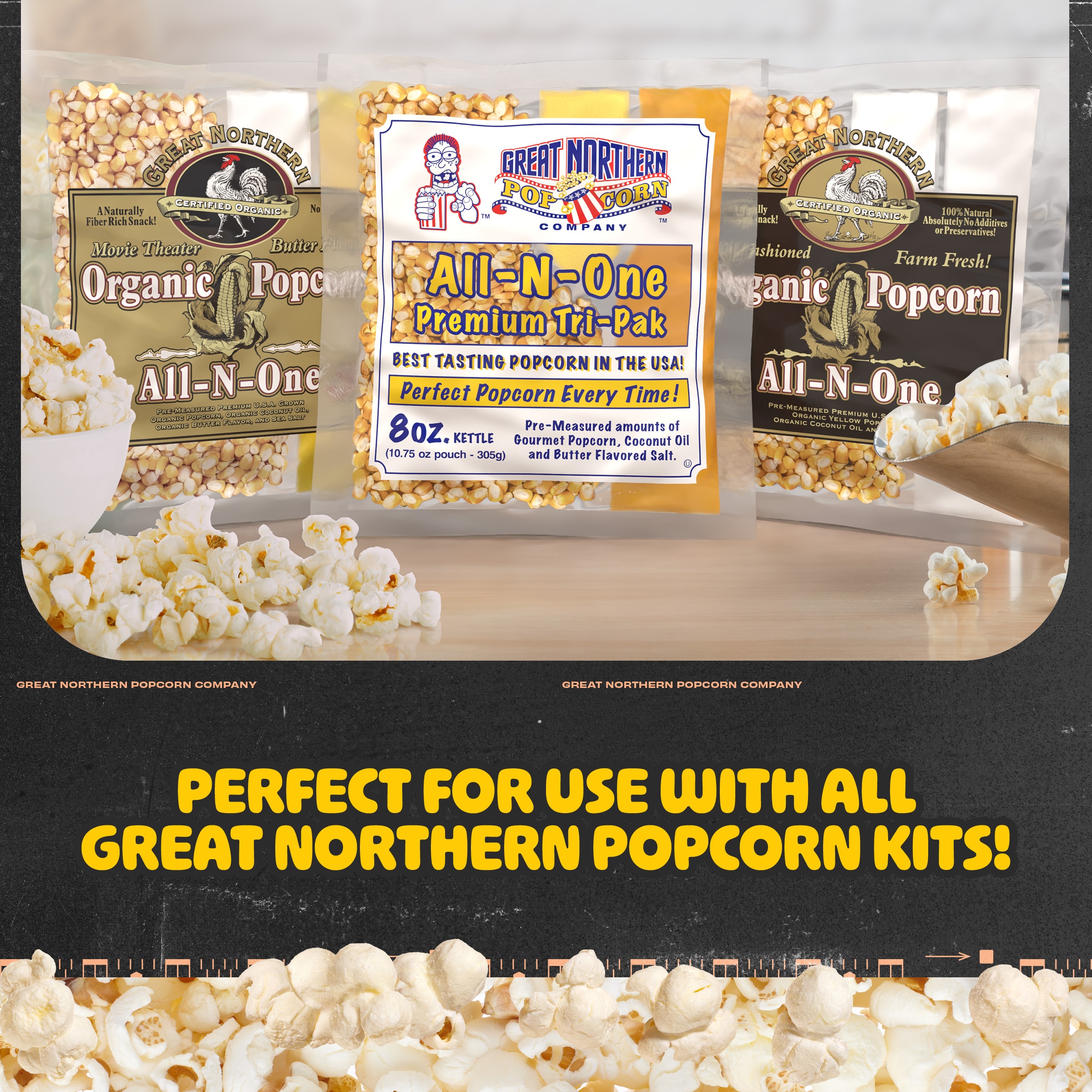 Máquina de palomitas de maíz de mostrador con aceite negro de 1 taza de Great Northern Popcorn 569864QKY