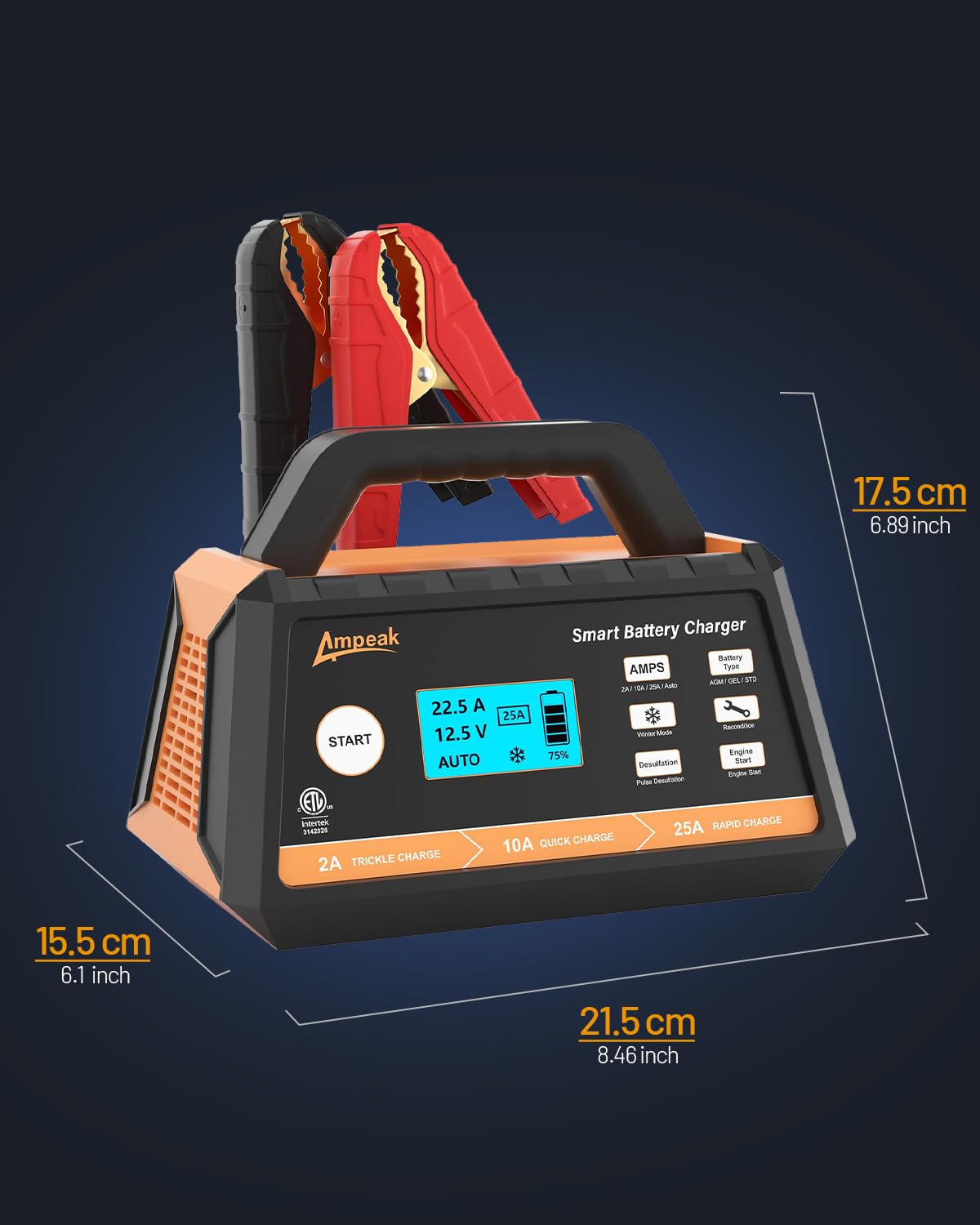 Cargador de batería para carro de 25 amperios y 12 voltios modelo BC23-025 de Phivve.