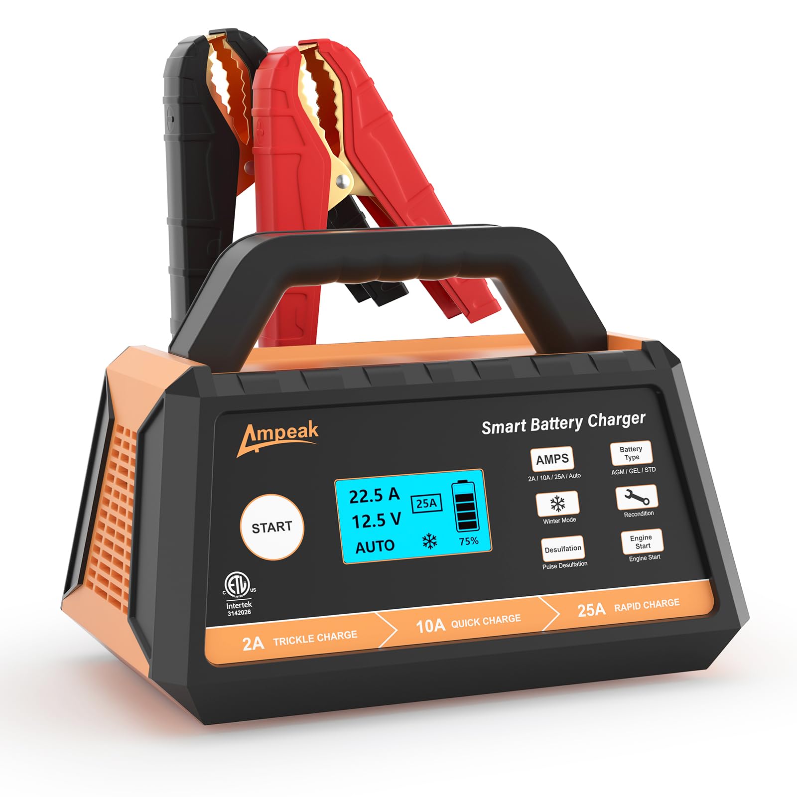 Cargador de batería para carro de 25 amperios y 12 voltios modelo BC23-025 de Phivve.