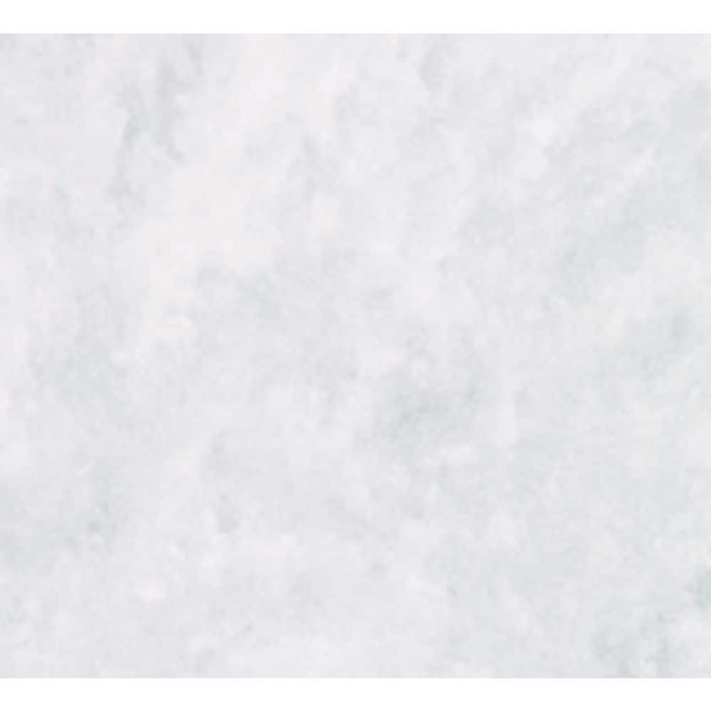 Panel de pared trasera del panel de ducha empotrada de una sola pieza SWAN 60 W x 0.25 D x 72 H Ice (130) SS0607201.130
