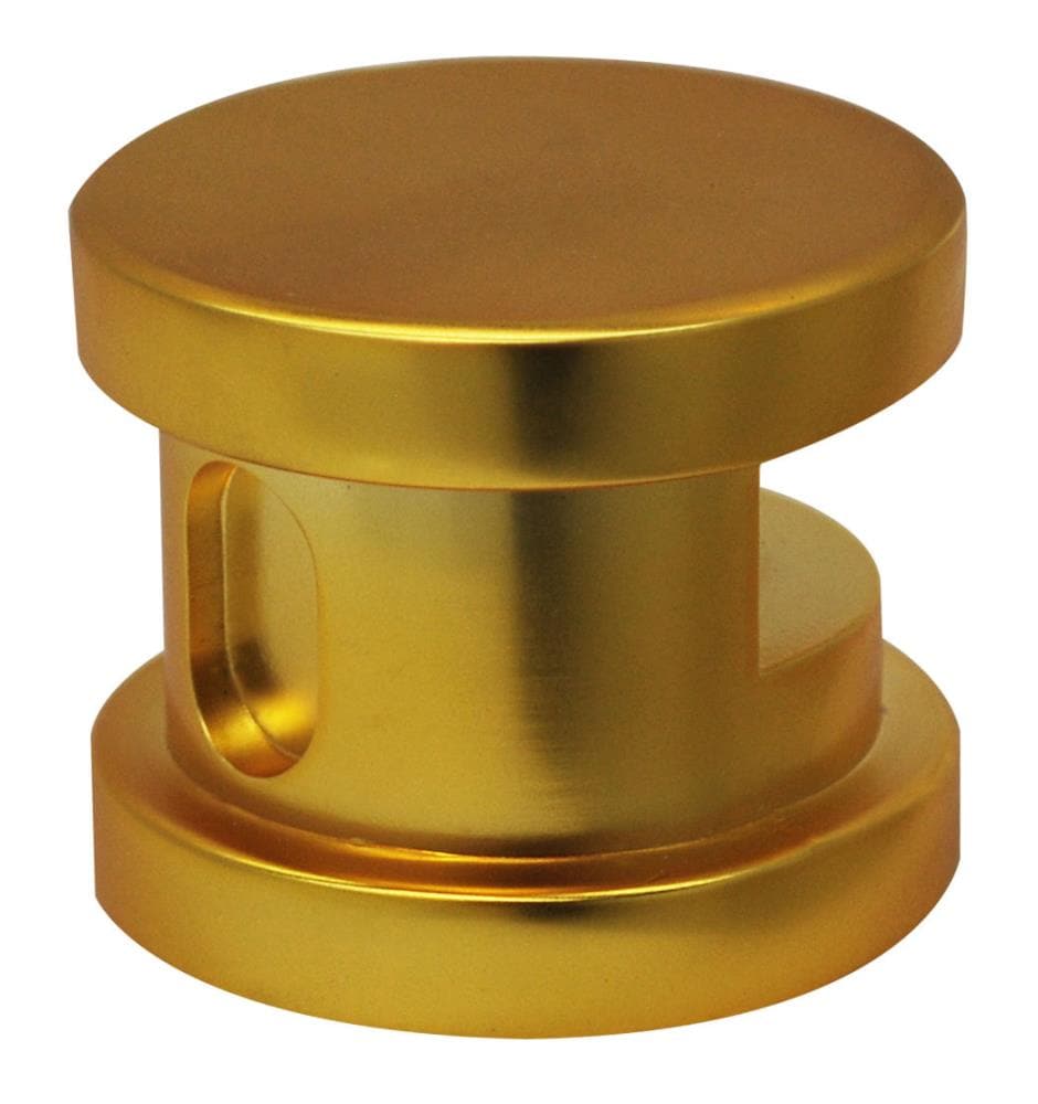 Cabezal de vapor SteamSpa de 21 vatios en tono dorado pulido G-SHGOLD