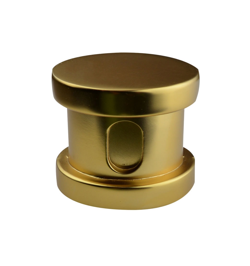 Cabezal de vapor SteamSpa de 21 vatios en tono dorado pulido G-SHGOLD