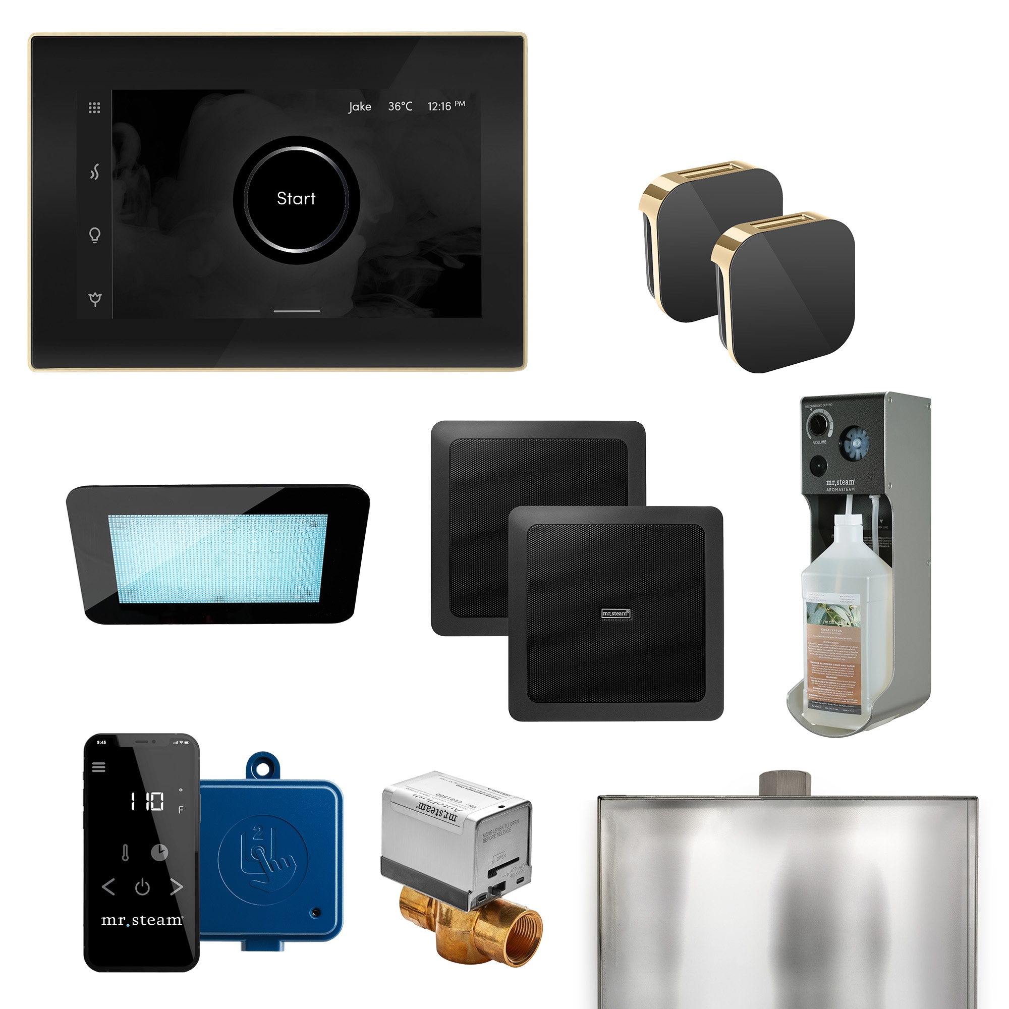 Kit de control de generador de vapor Mr. Steam Xdream Max de 500 Watts en latón pulido XDRM1BKXPB