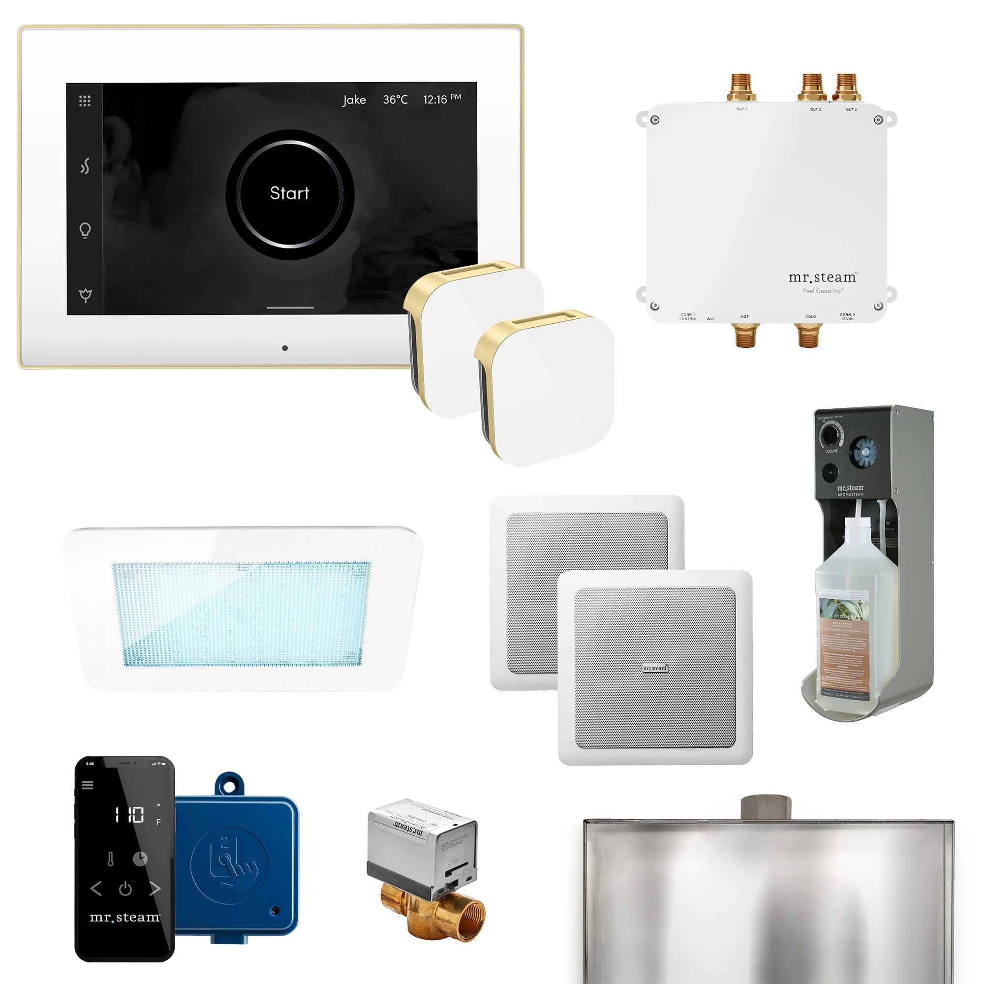 Kit de control de generador de vapor Mr. Steam Bliss Max 600-Watts en negro mate.