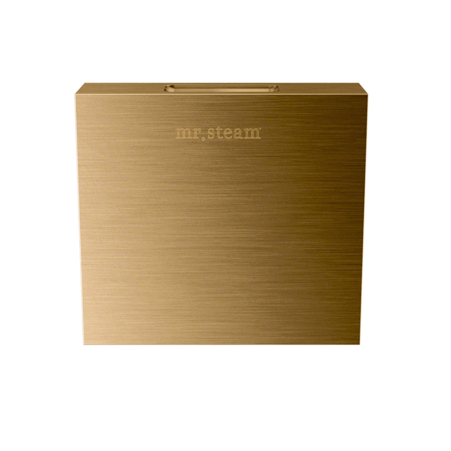 Kit de control de generador de vapor de vidrio blanco de 120 vatios Sr. Steam MSBUTLERXRD-WH