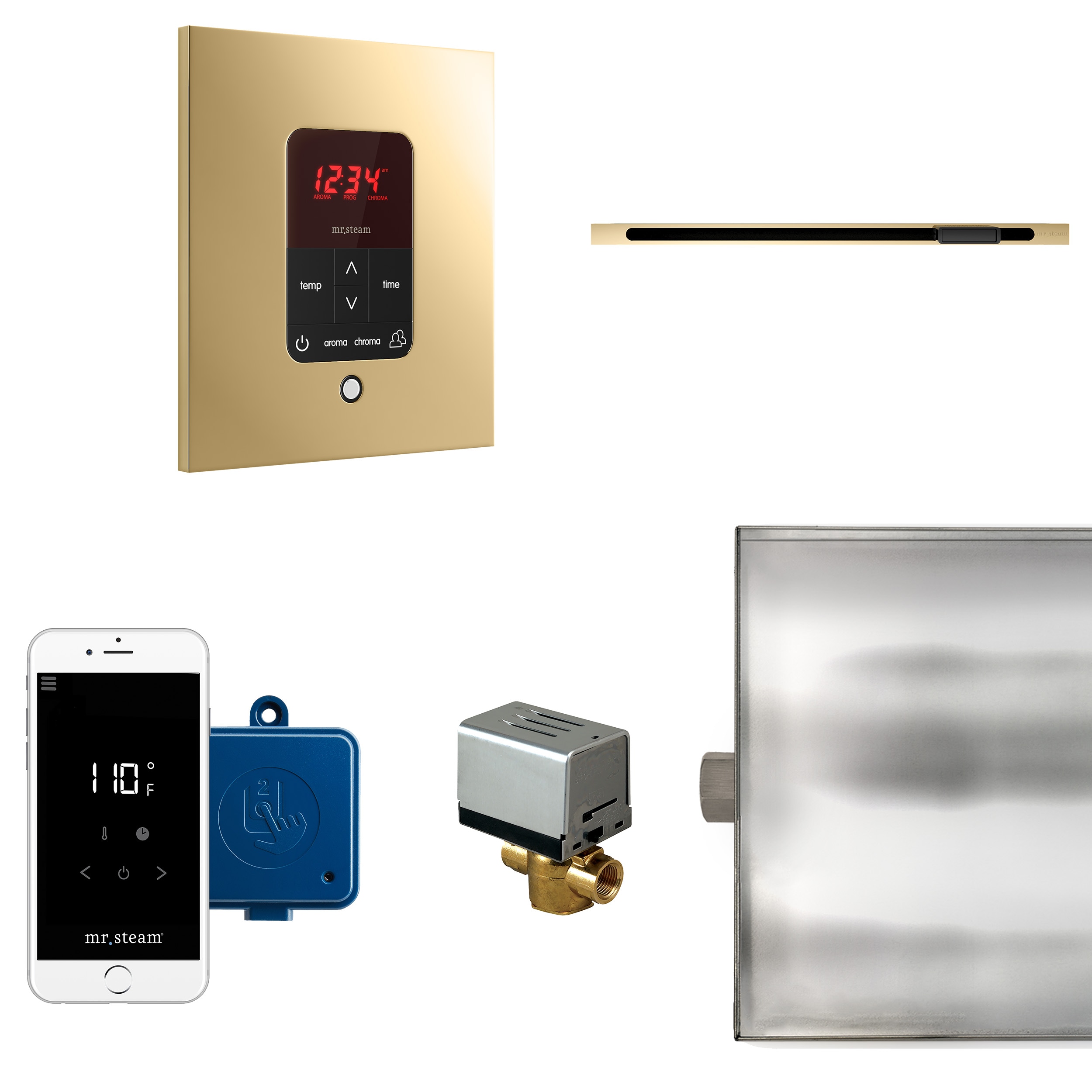 Kit de control de generador de vapor de latón pulido de 120 vatios de Mr. Steam BTLRL1SPB