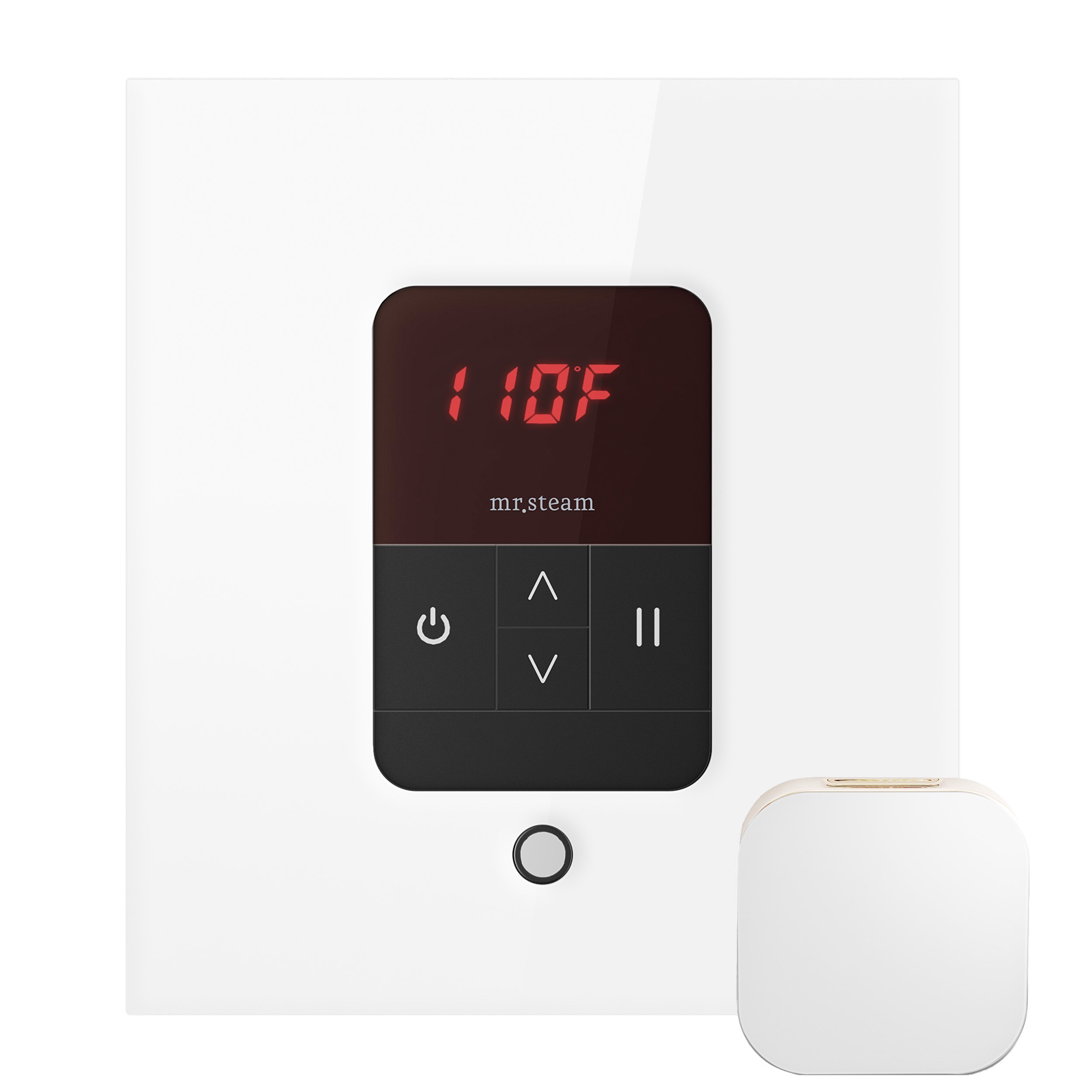 Kit de control de generador de vapor de vidrio blanco de 120 vatios Sr. Steam BBUTLERLSWH