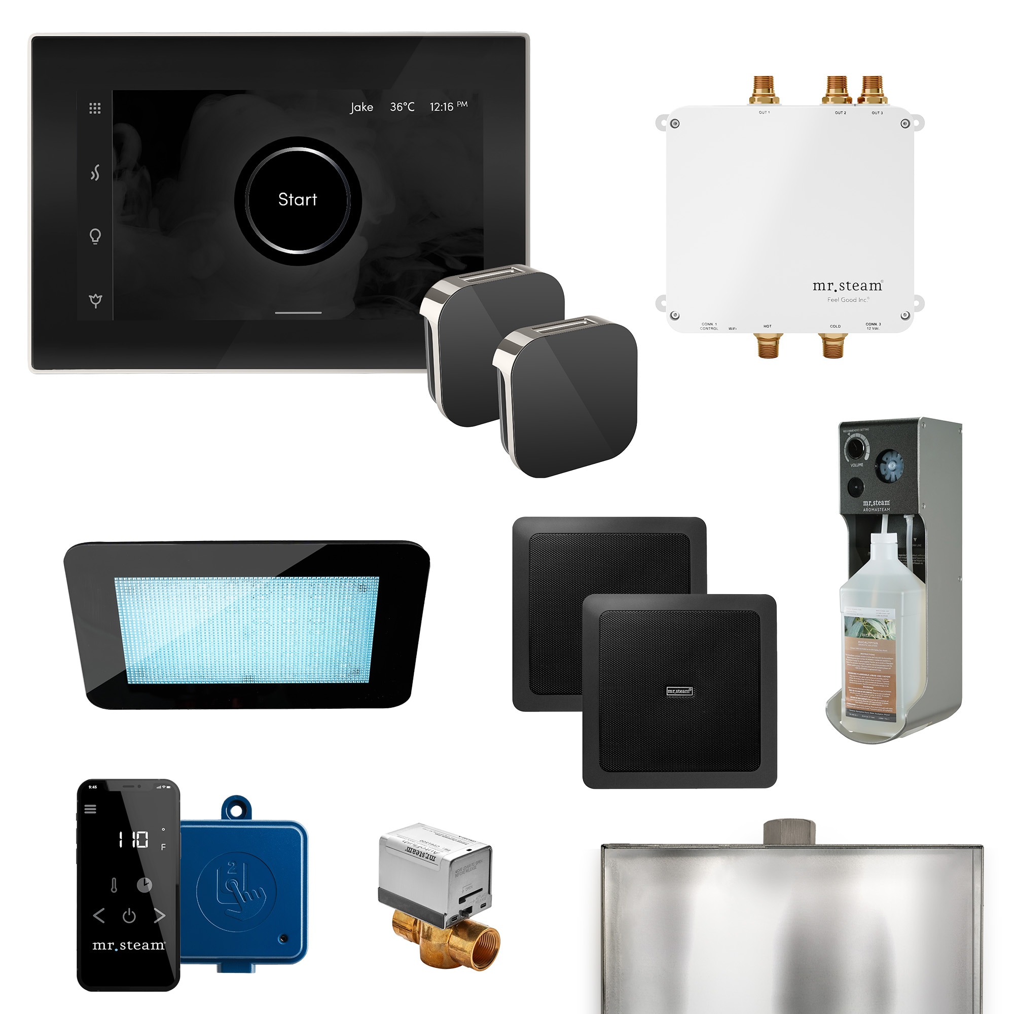 Kit de controlador de generador de vapor Mr. Steam Bliss Max de 600 vatios en níquel cepillado BLS-BKXBN