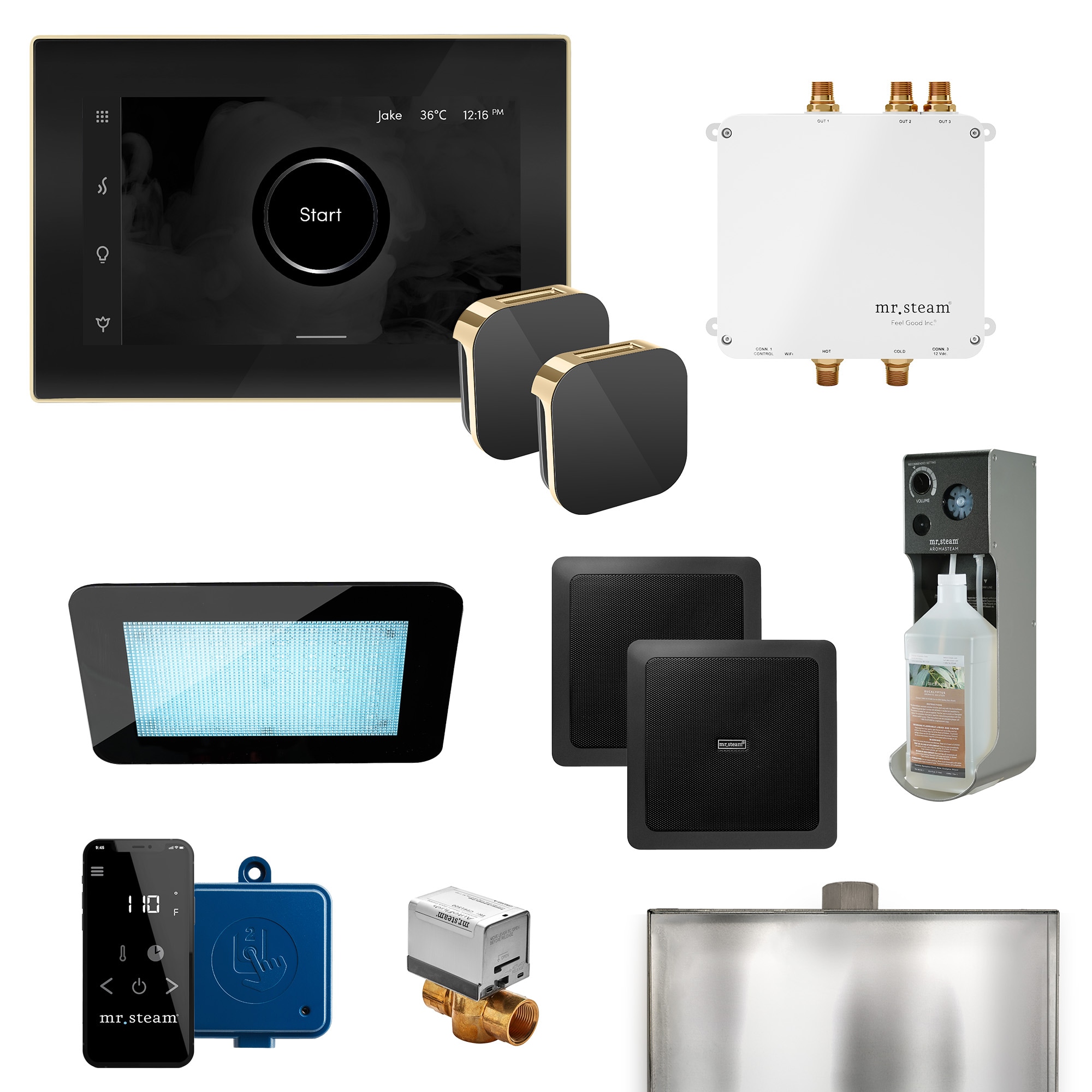 Kit de control del generador de vapor Mr. Steam Bliss Linear 600-Watts en latón satinado