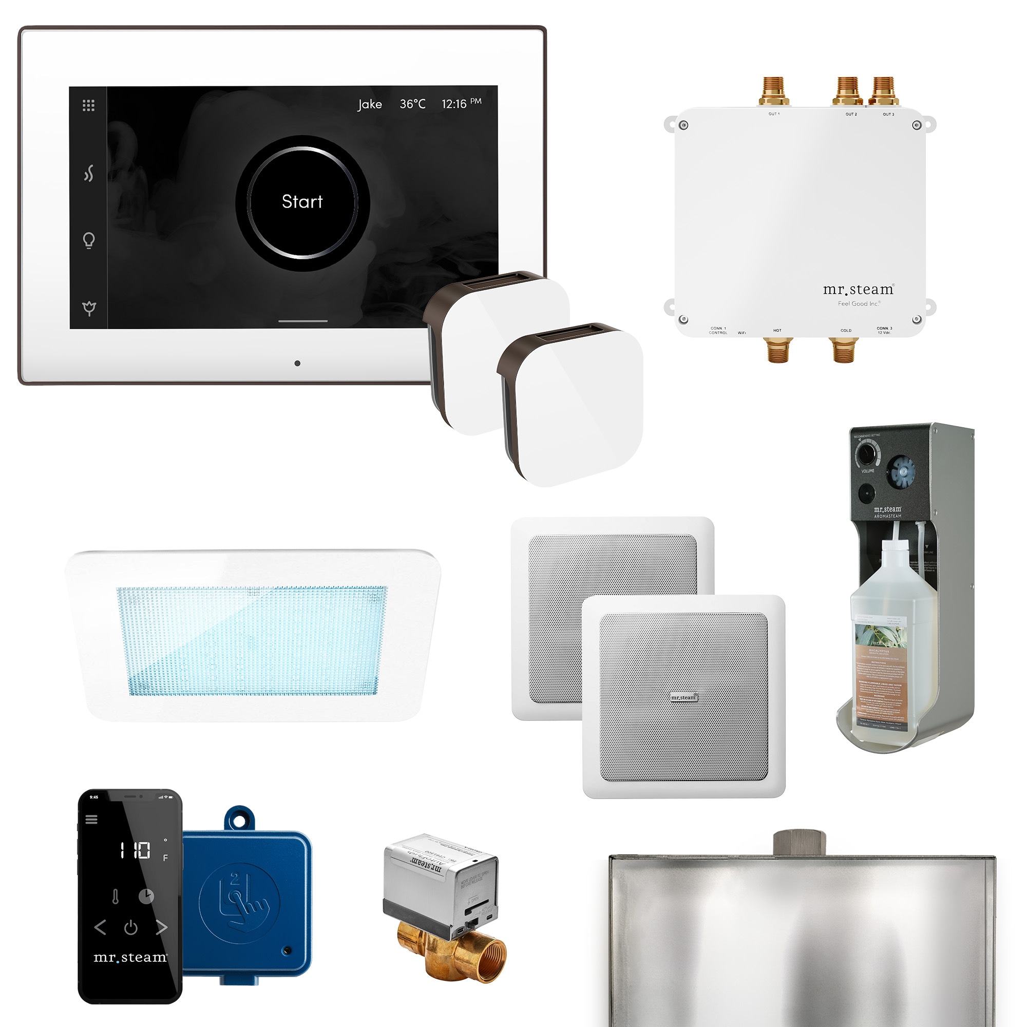 Kit de control para generador de vapor Mr. Steam Bliss Max de 600 vatios en níquel pulido BLS-BKXPN.
