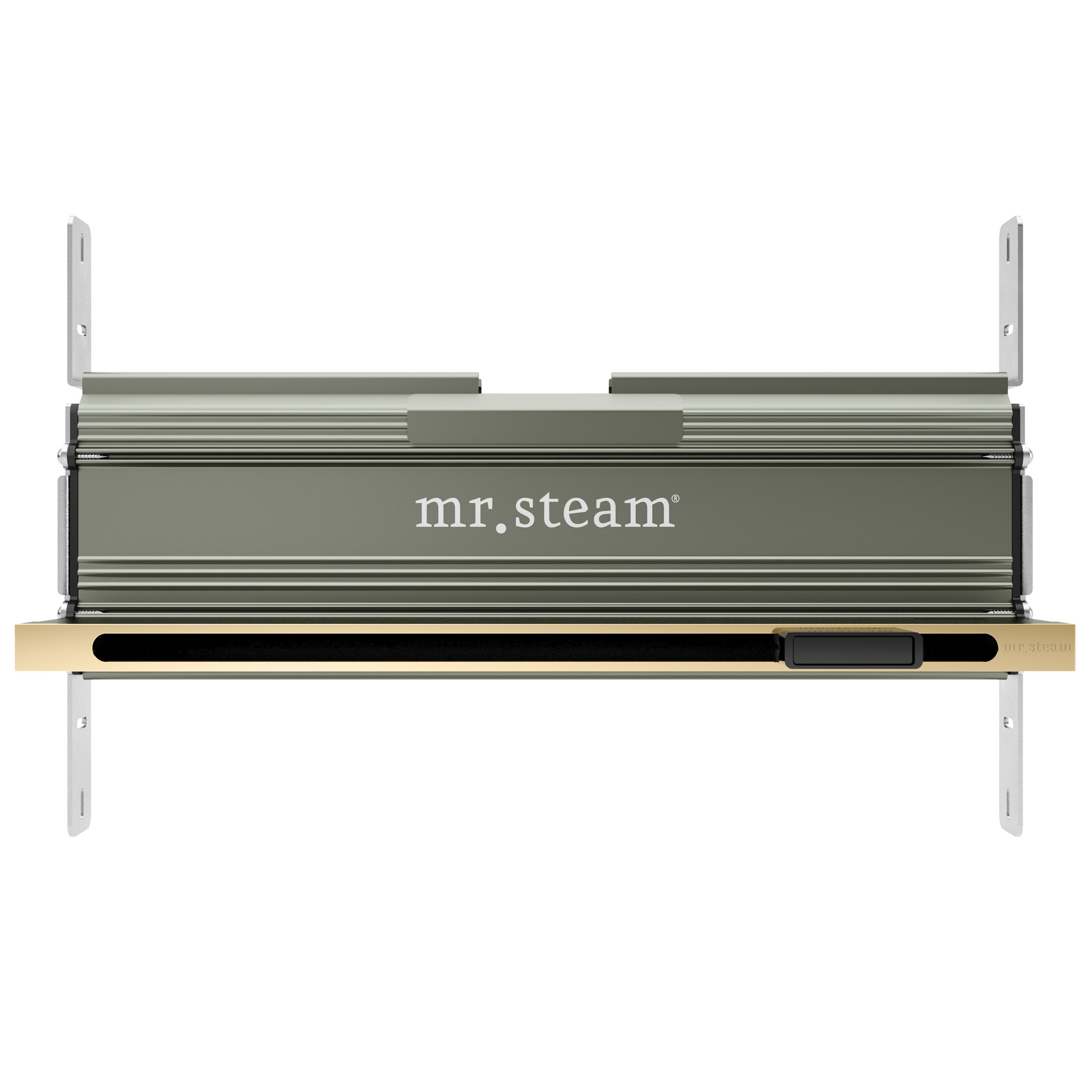 Kit de control de generador de vapor Mr. Steam Xdream Linear de 500 vatios en acabado de latón pulido XDRM1BKLPB