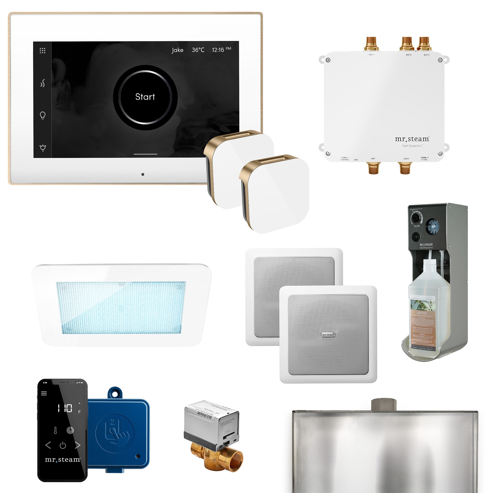 Kit de control para generador de vapor Mr. Steam Bliss Max 600-Watts en acabado bronce frotado.