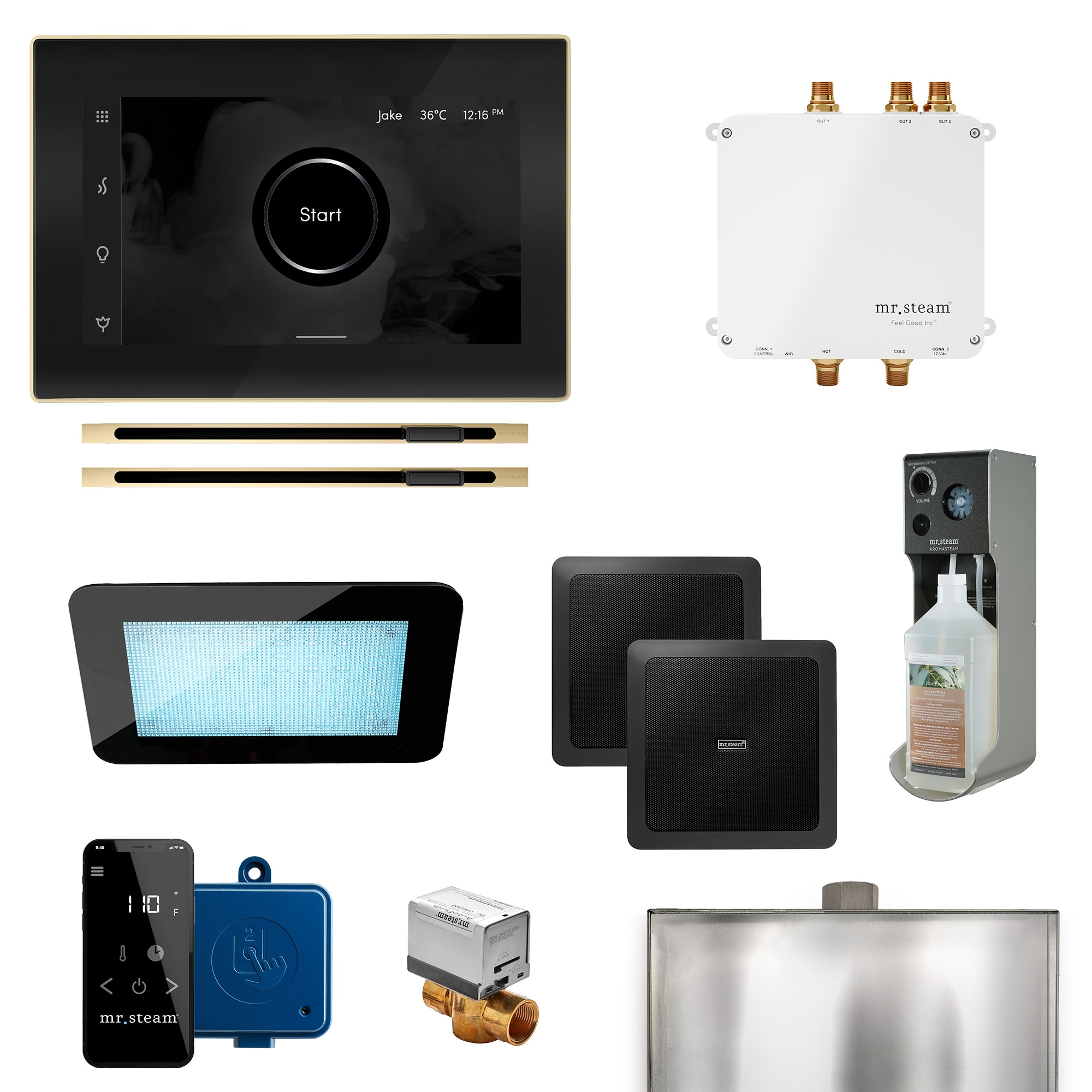 Kit de control para generador de vapor Mr. Steam Bliss Max Linear de 600 watts en latón pulido BLS-BKXLPB