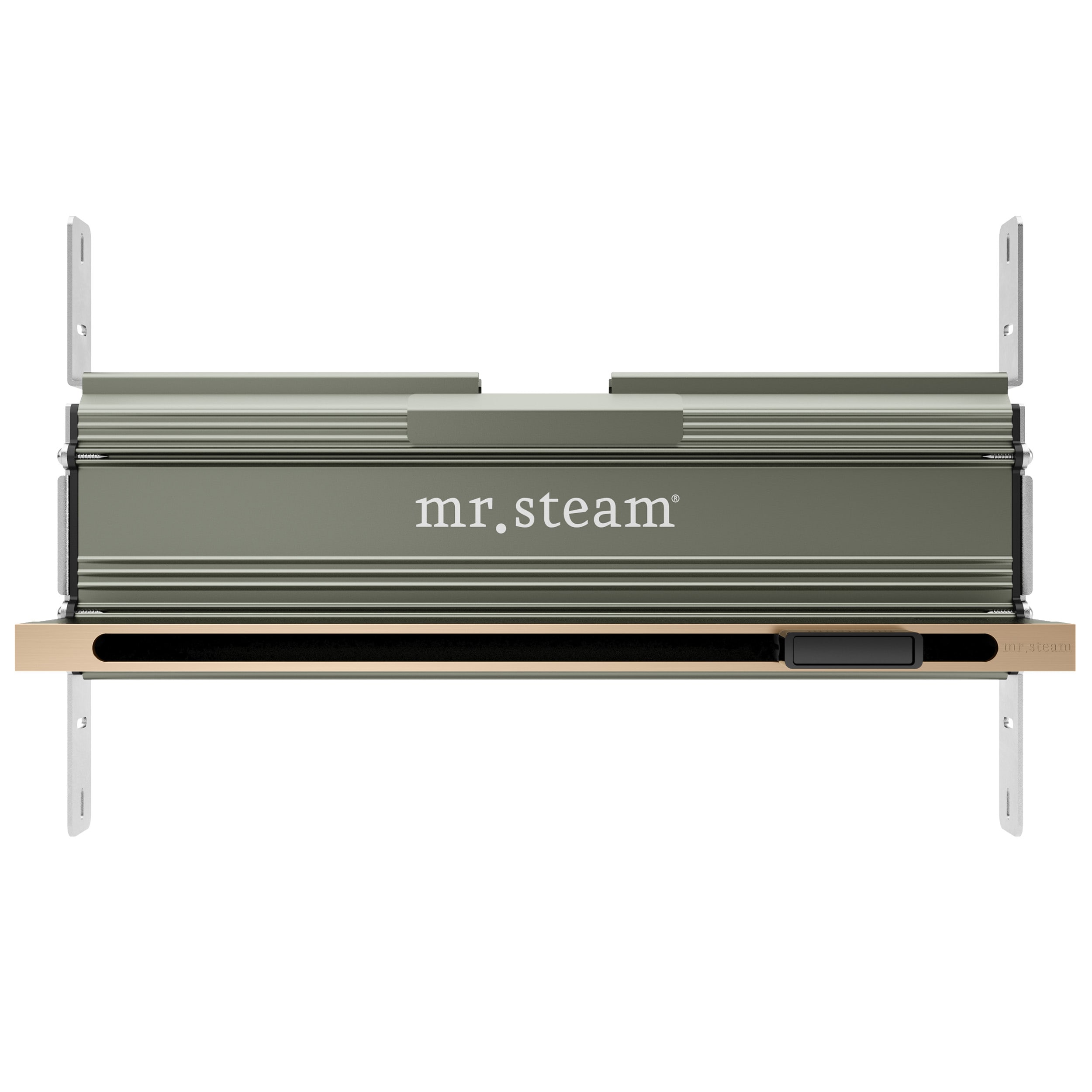 Juego de control de generador de vapor Mr. Steam Bliss Linear de 600 vatios en bronce cepillado BLS-BKLBB