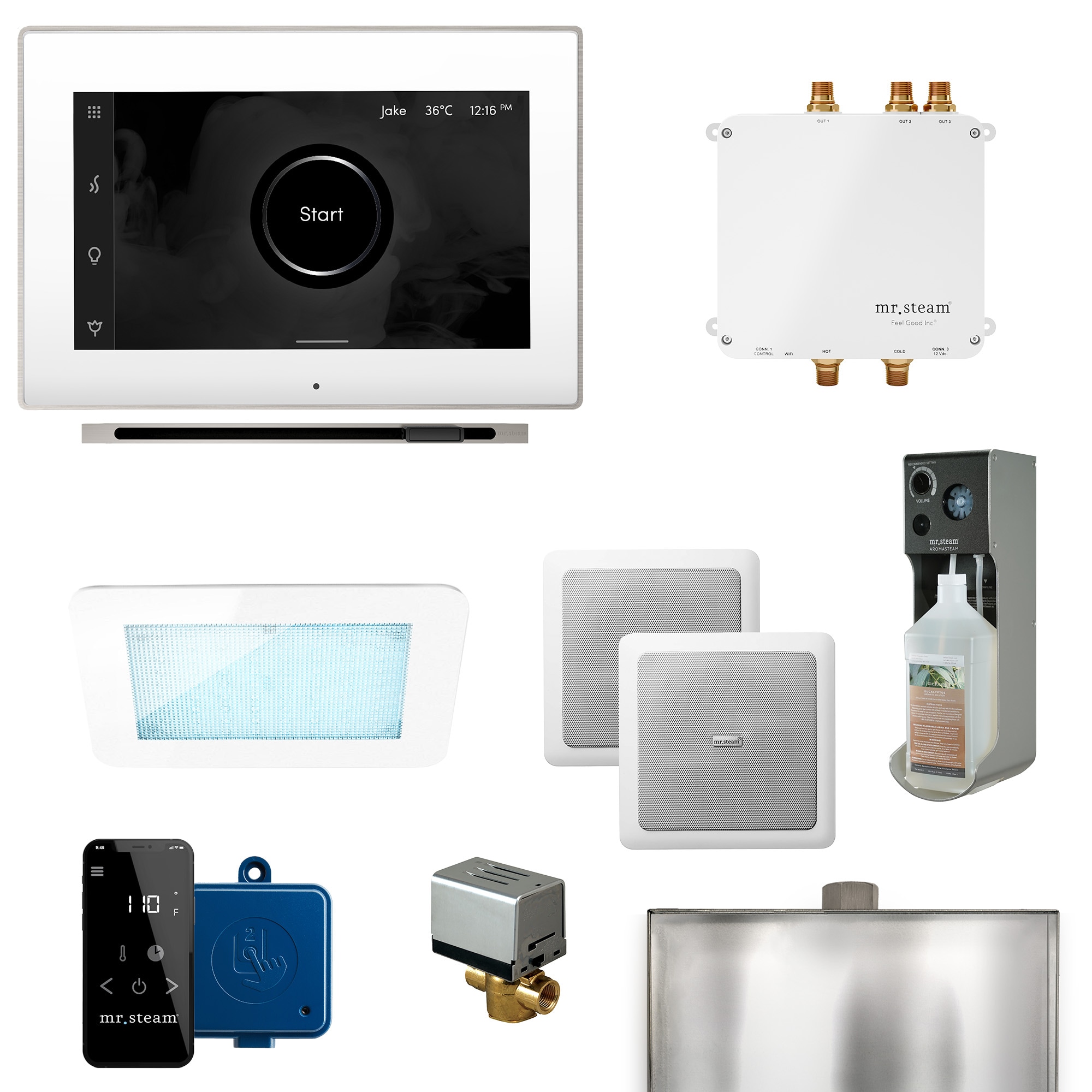 Kit de control para generador de vapor Bliss Linear 600-Watts en latón pulido