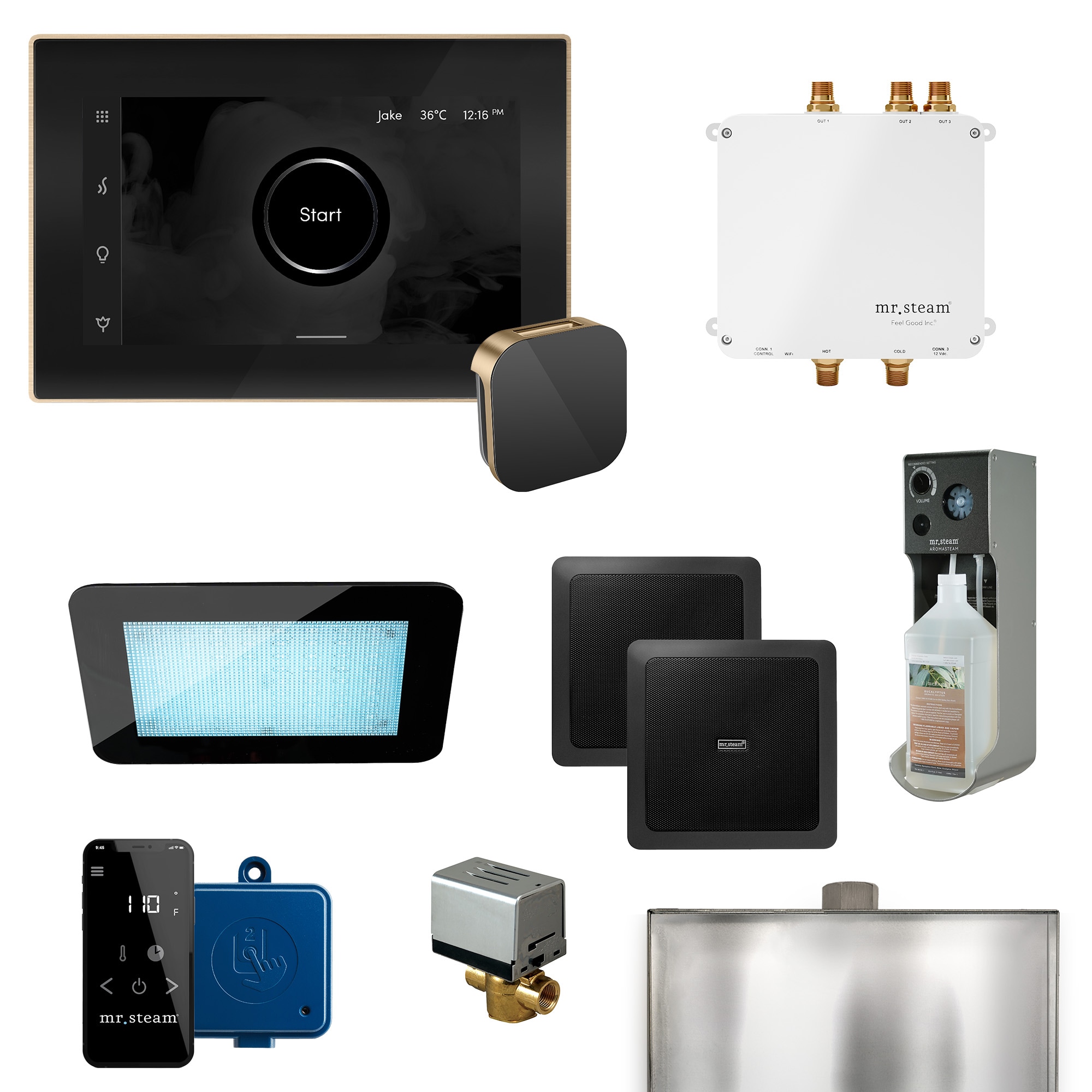 Kit de control de generador de vapor Mr. Steam Bliss de 600 vatios en bronce cepillado BLS-BKBB