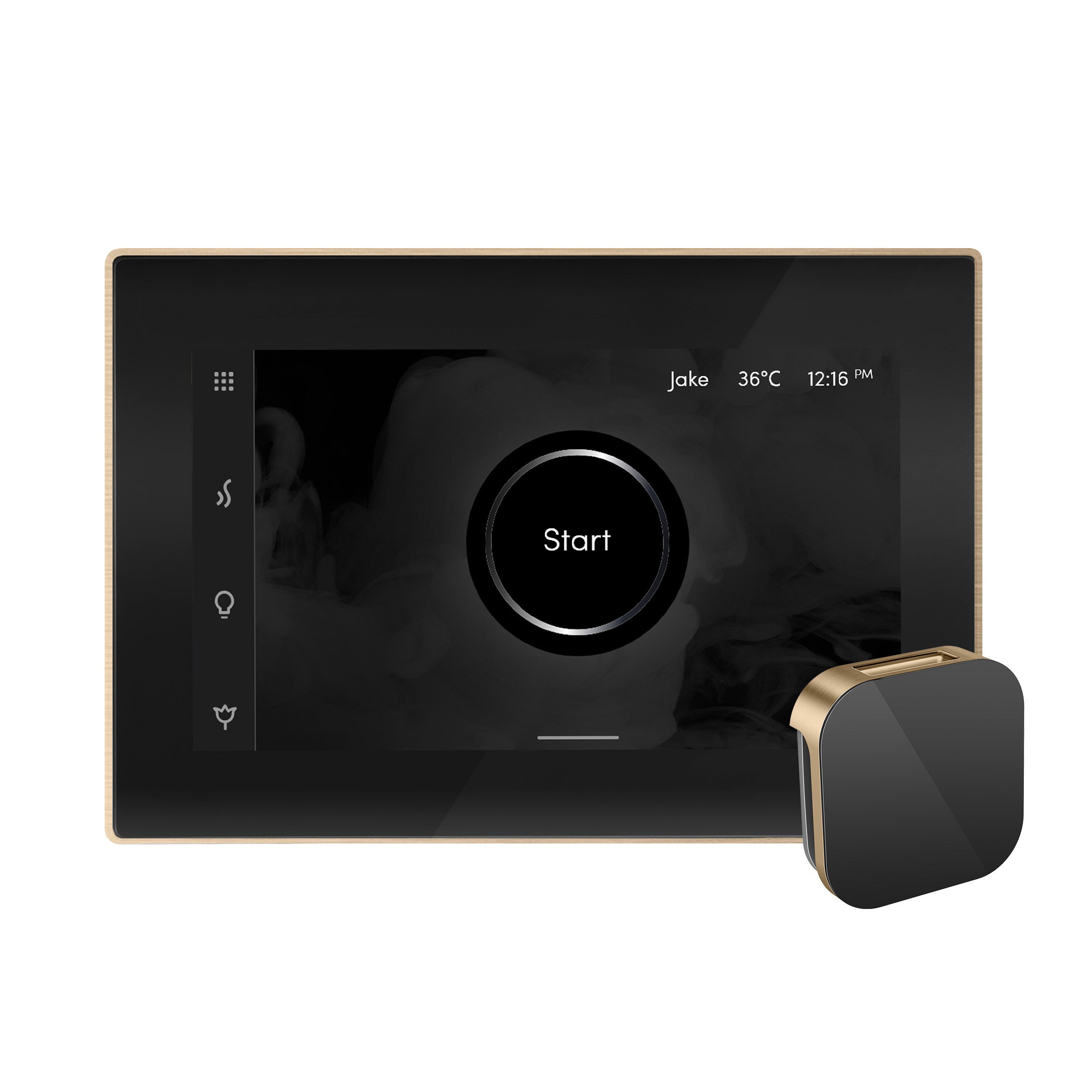 Unidad de control de vapor negro cepillado de bronce de 120 vatios de Mr. Steam - ISTEAMXBKBB