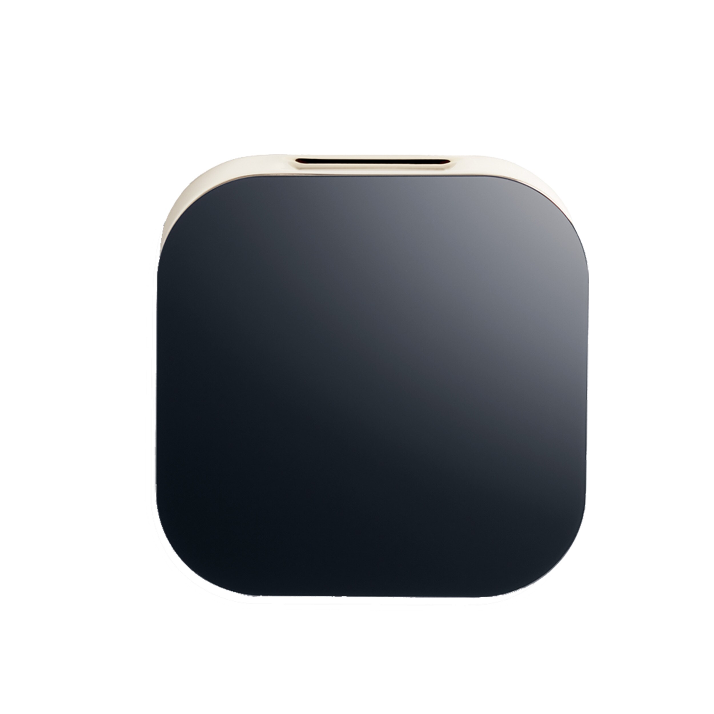 Cabeza de vapor negra mate para baño 104104BK-MB