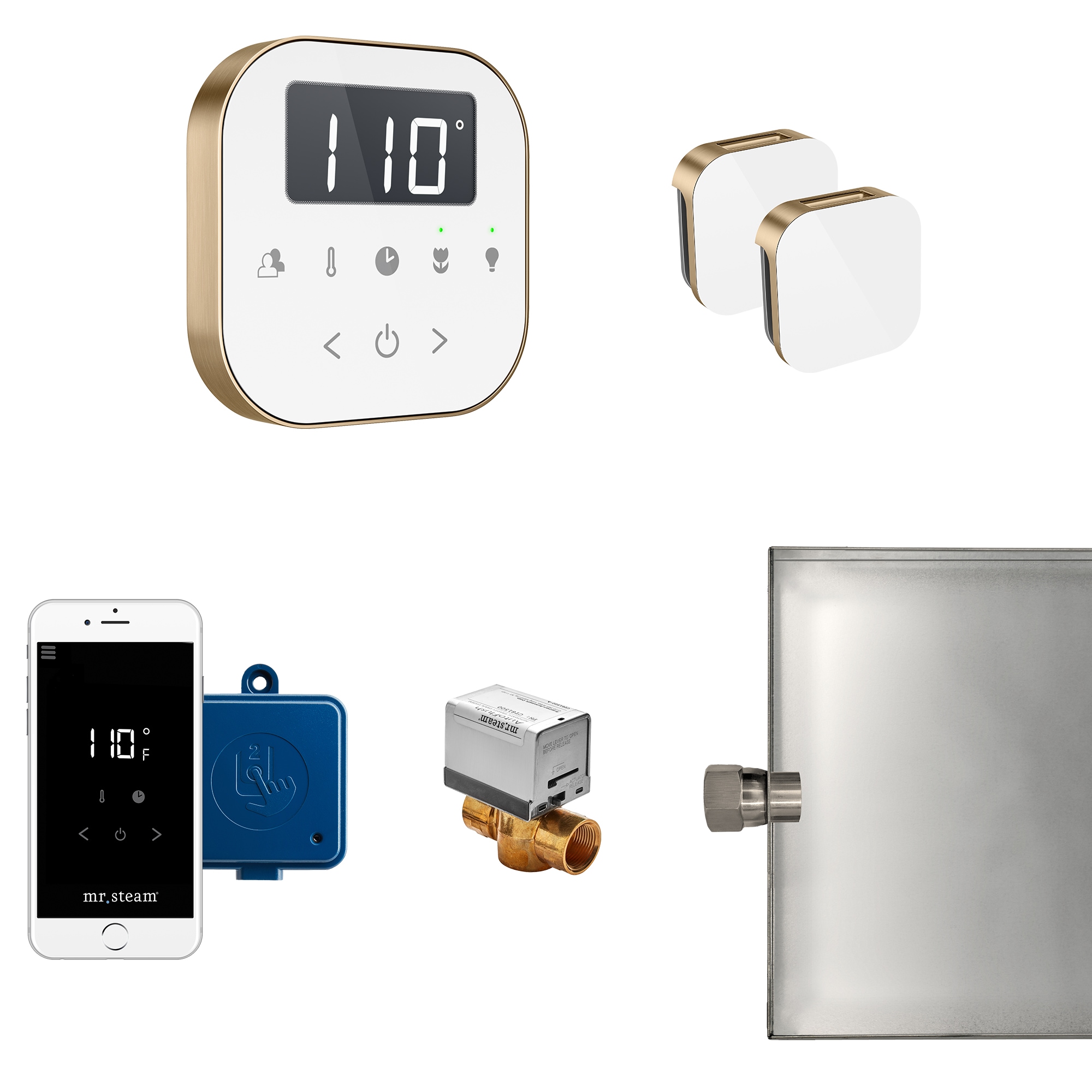 Kit de Control de Generador de Vapor Blanco Bronce Cepillado de 120 Watts Sr. Steam ABUTLERXW-BB.