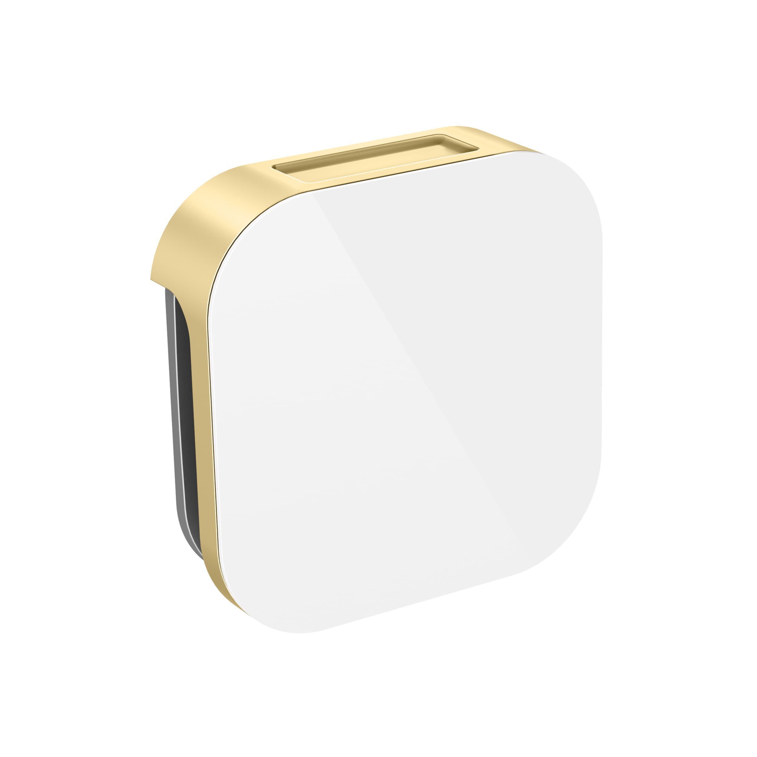 Kit de control para generador de vapor Mr. Steam Bliss Max de 599 vatios en latón satinado BLS-WHXSB