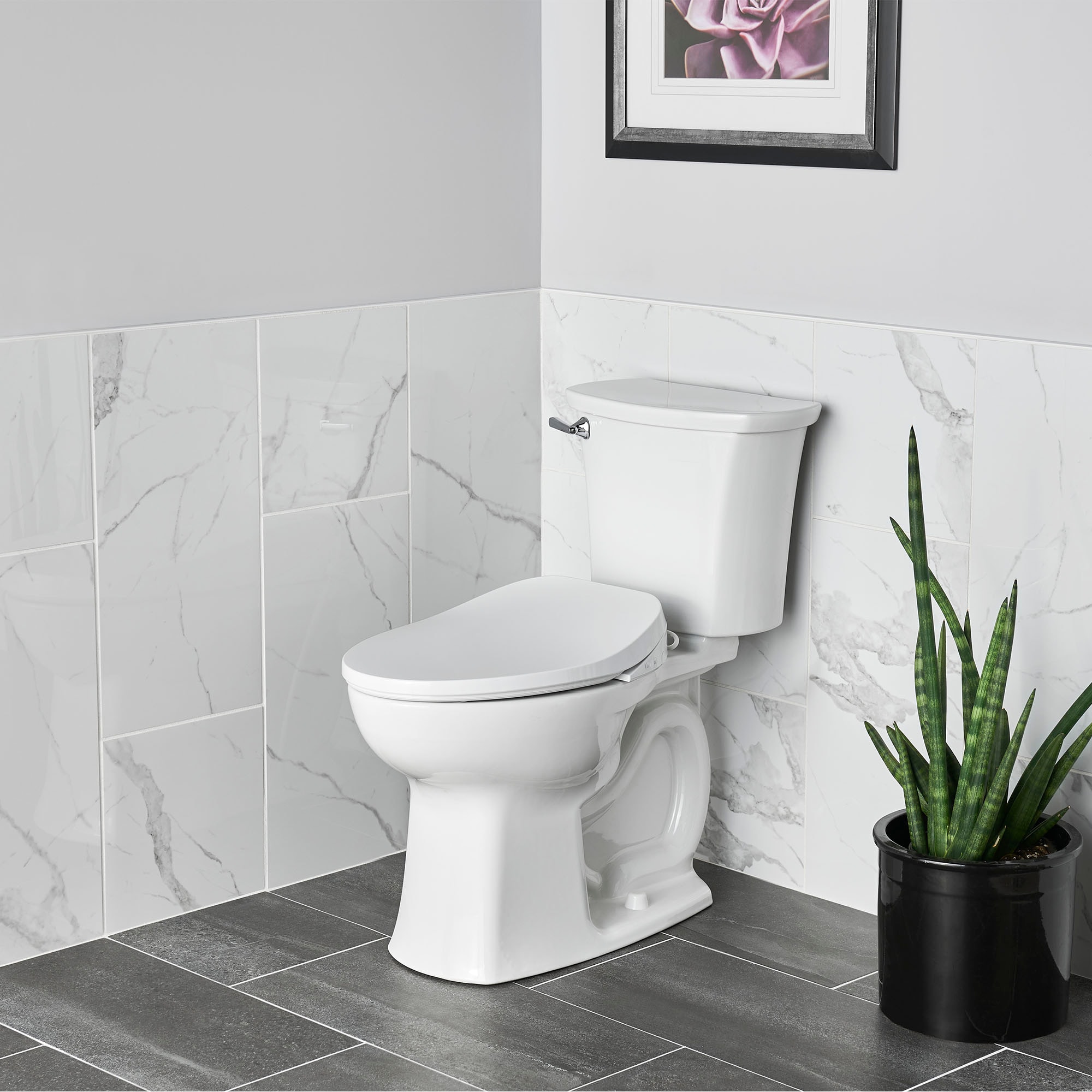 Asiento de Inodoro con Bidé American Standard AquaWash 2 Manual SpaLet de Plástico Blanco Alargado Suave con Cierre Suave y Calefacción611 8019A60GPC.020