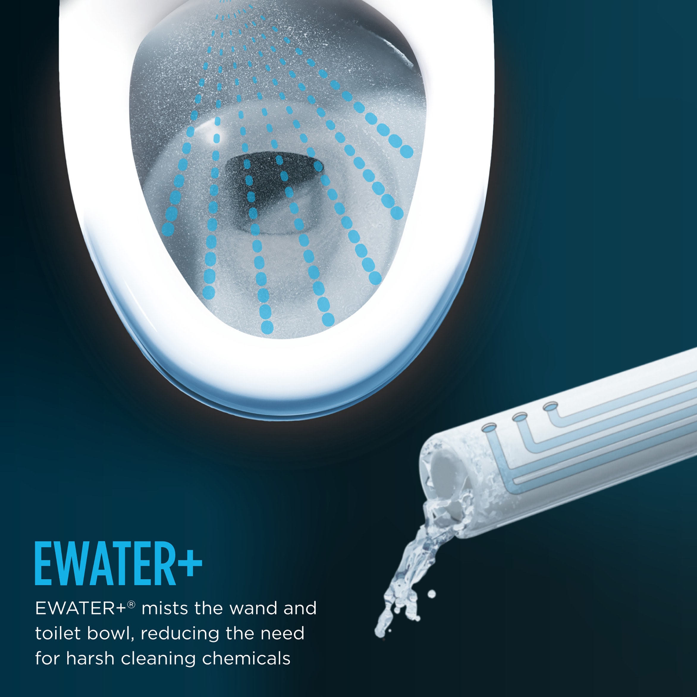 Asiento de Bidé 1 Pieza con Altura de Silla Alargada Individual en Blanco de Algodón, Cierre Suave, 12 Pulgadas de Desagüe Rústico ecológico de 1.28 GPF - TOTO Nexus MW6424736CEFGA-01