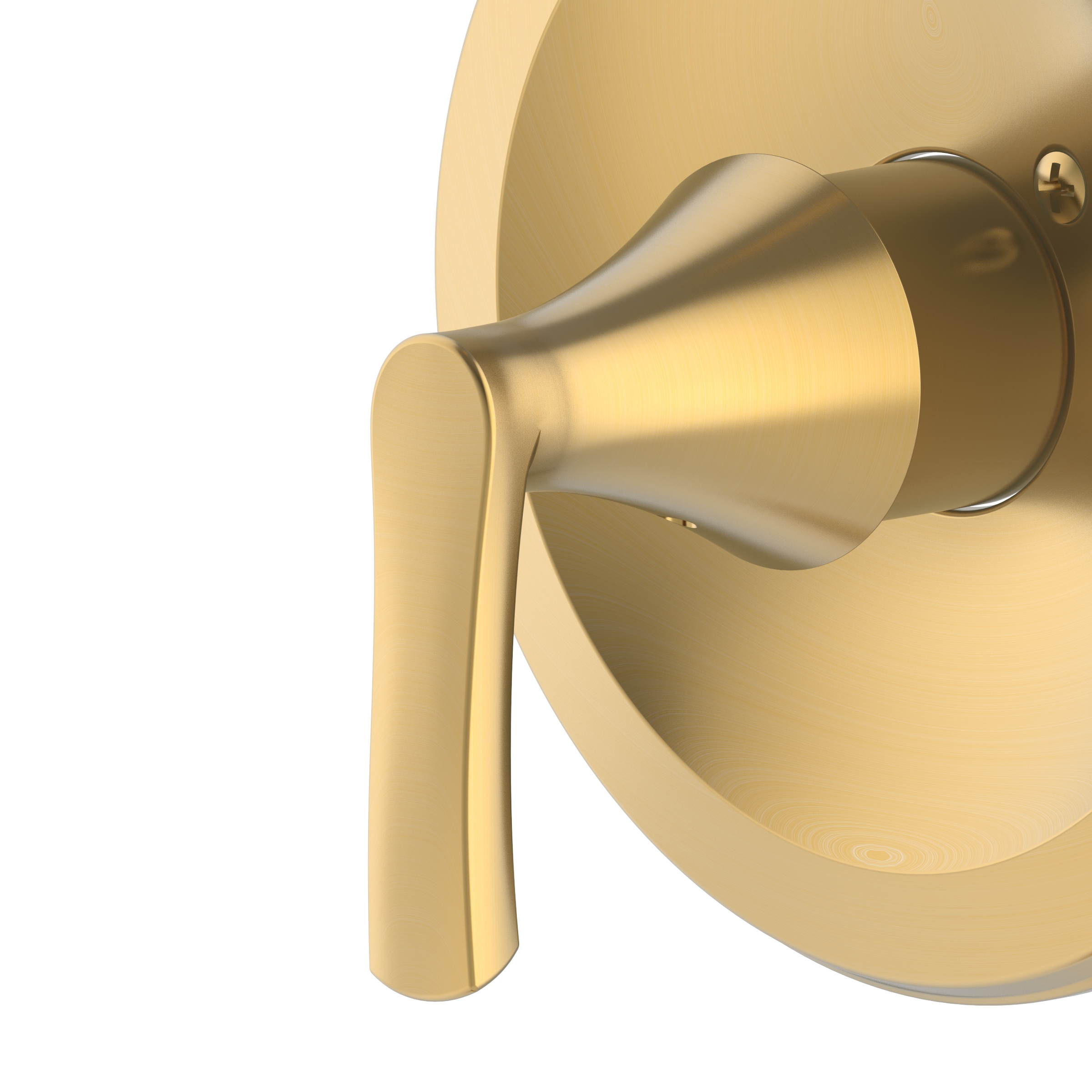 Grifo y regadera redonda para bañera en oro cepillado de una manija y función única 4.06 pulgadas con válvula "Project Source" 65873X-124408