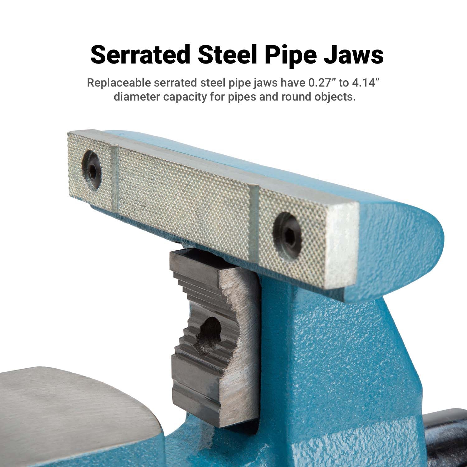 Morsa de banco de hierro fundido de 6-1/2 pulgadas de Capri Tools CP10550-6.5