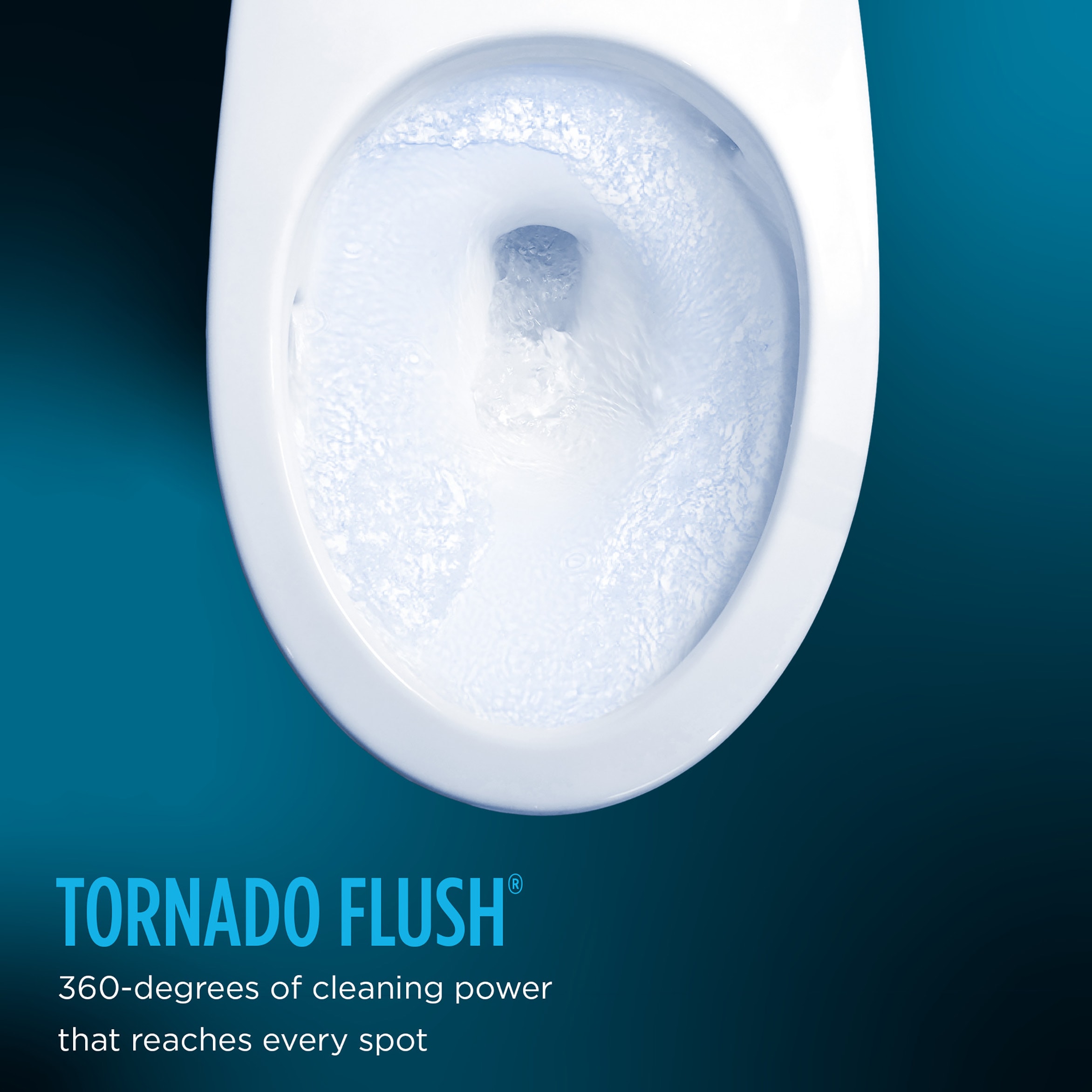 Bidé de una sola pieza TOTO Legato en color blanco de algodón con cierre suave, altura de silla alargada, 1.28 GPF MW6244736CEFG-01.