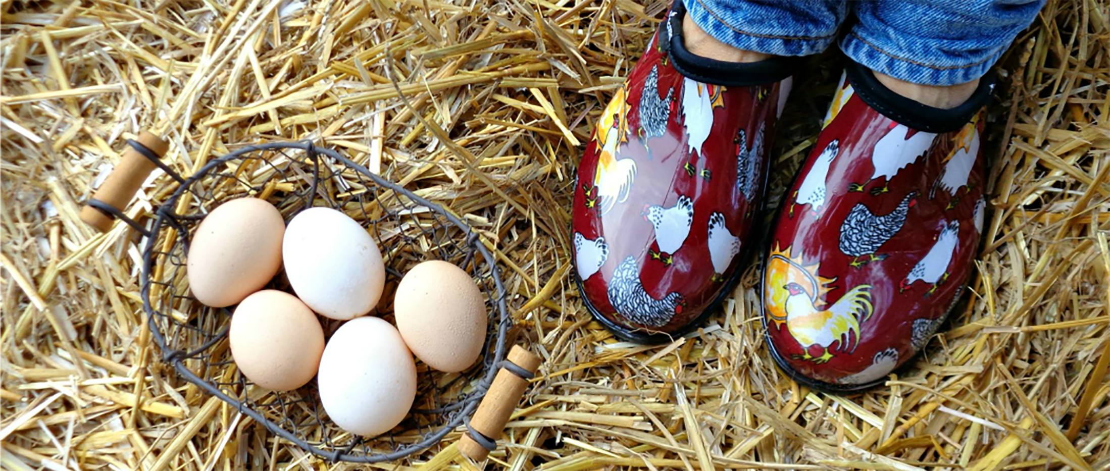 Zapatos Impermeables Rojos con Estampado de Gallinas para Mujer Talla 9 Medium 5116CBR09