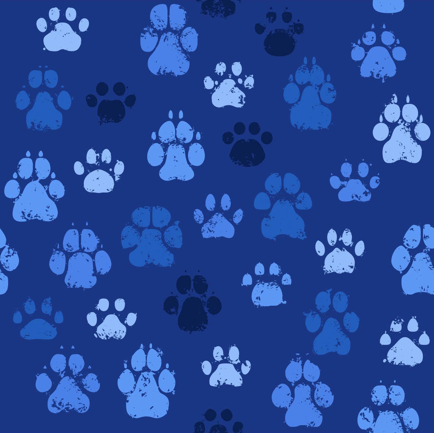Zapatos Impermeables Azules con Estampado "Grungy Paw" para Mujer Talla 9 Mediana