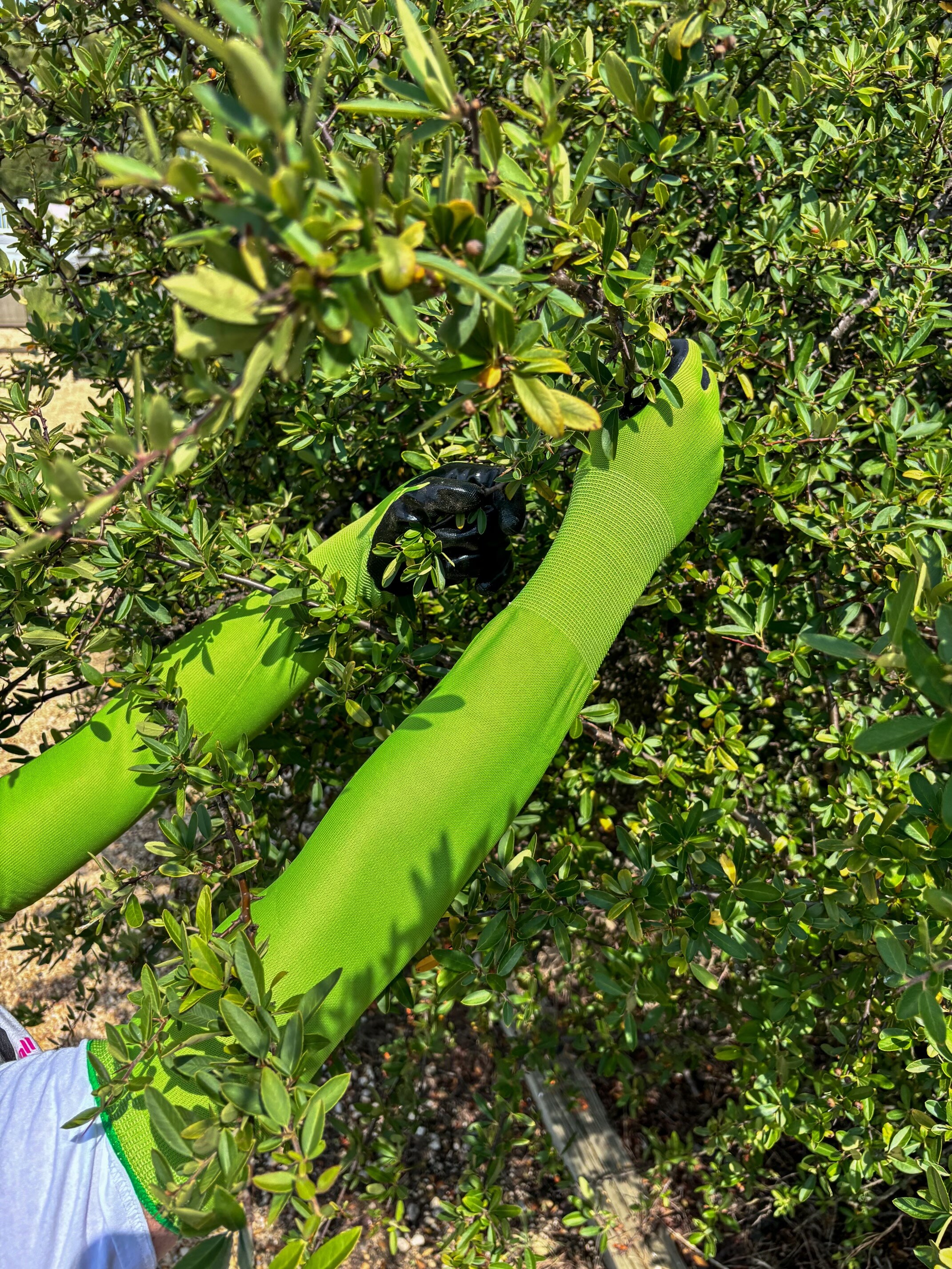 Guantes para jardinería CHARGUY Nitrilo verde, tamaño único, Nitrilo/Poliéster recubierto, ideal para la mayoría, talla 7