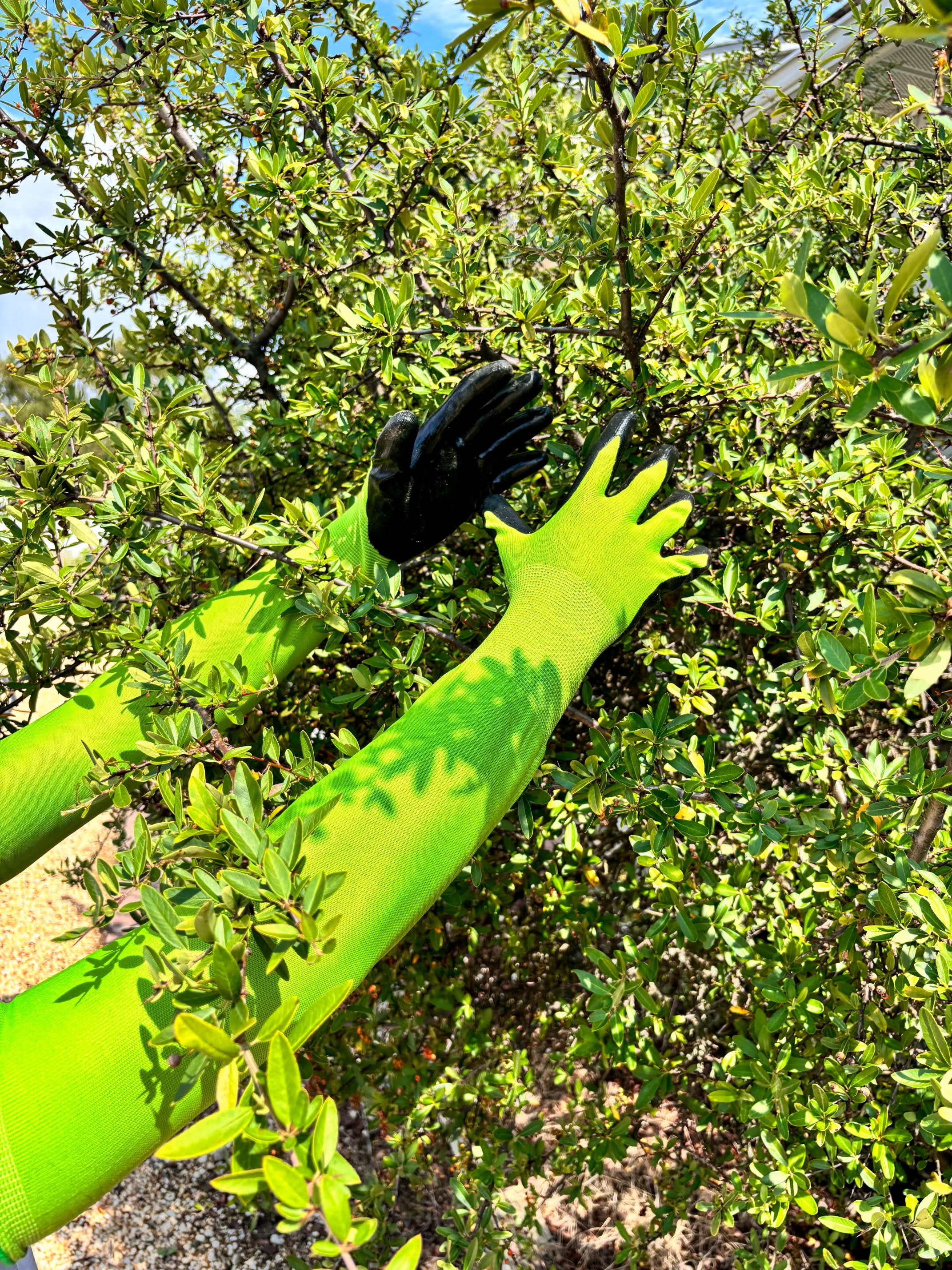 Guantes para jardinería CHARGUY Nitrilo verde, tamaño único, Nitrilo/Poliéster recubierto, ideal para la mayoría, talla 7