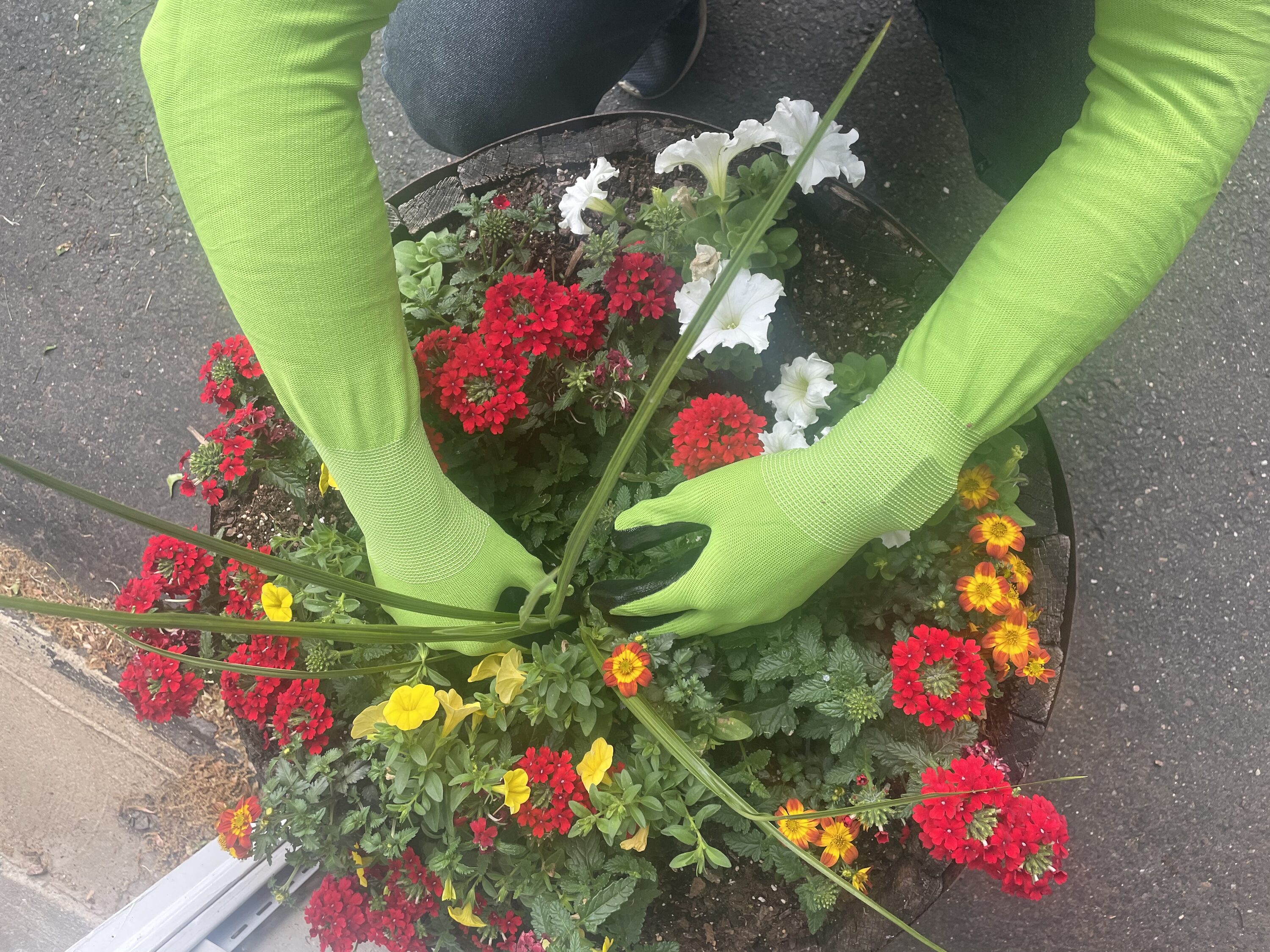Guantes para jardinería CHARGUY Nitrilo verde, tamaño único, Nitrilo/Poliéster recubierto, ideal para la mayoría, talla 7