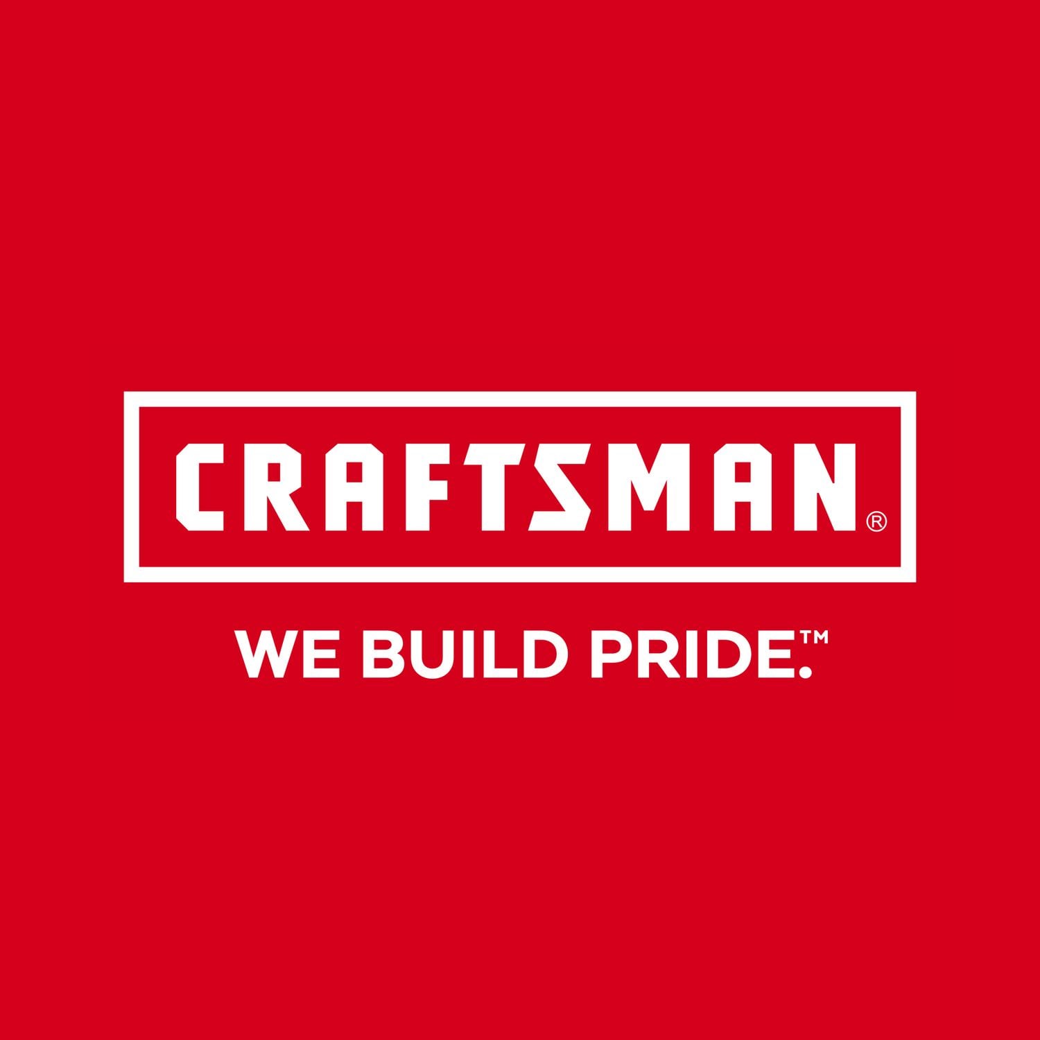 Nivel torpedo magnético de plástico CRAFTSMAN HI-VIS de 9 pulgadas con 3 viales CMHT43191G